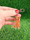 Golden Retriever Red Dark Golden Dog Keychain