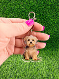 Dandie Dinmont Terrier Dog Keychain