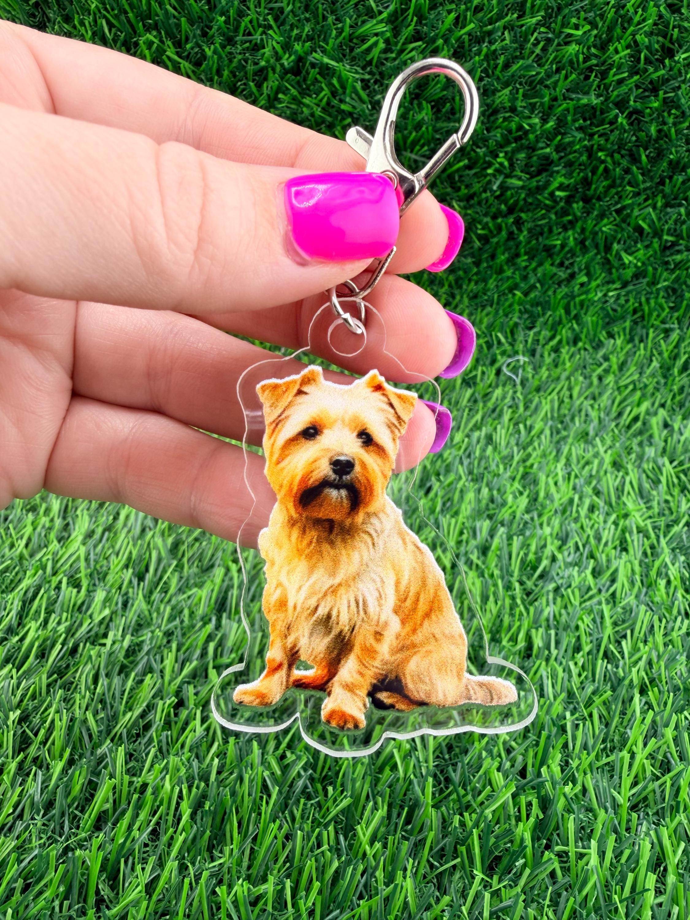 Norfolk Terrier Dog Keychain