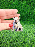 American Bulldog Keychain