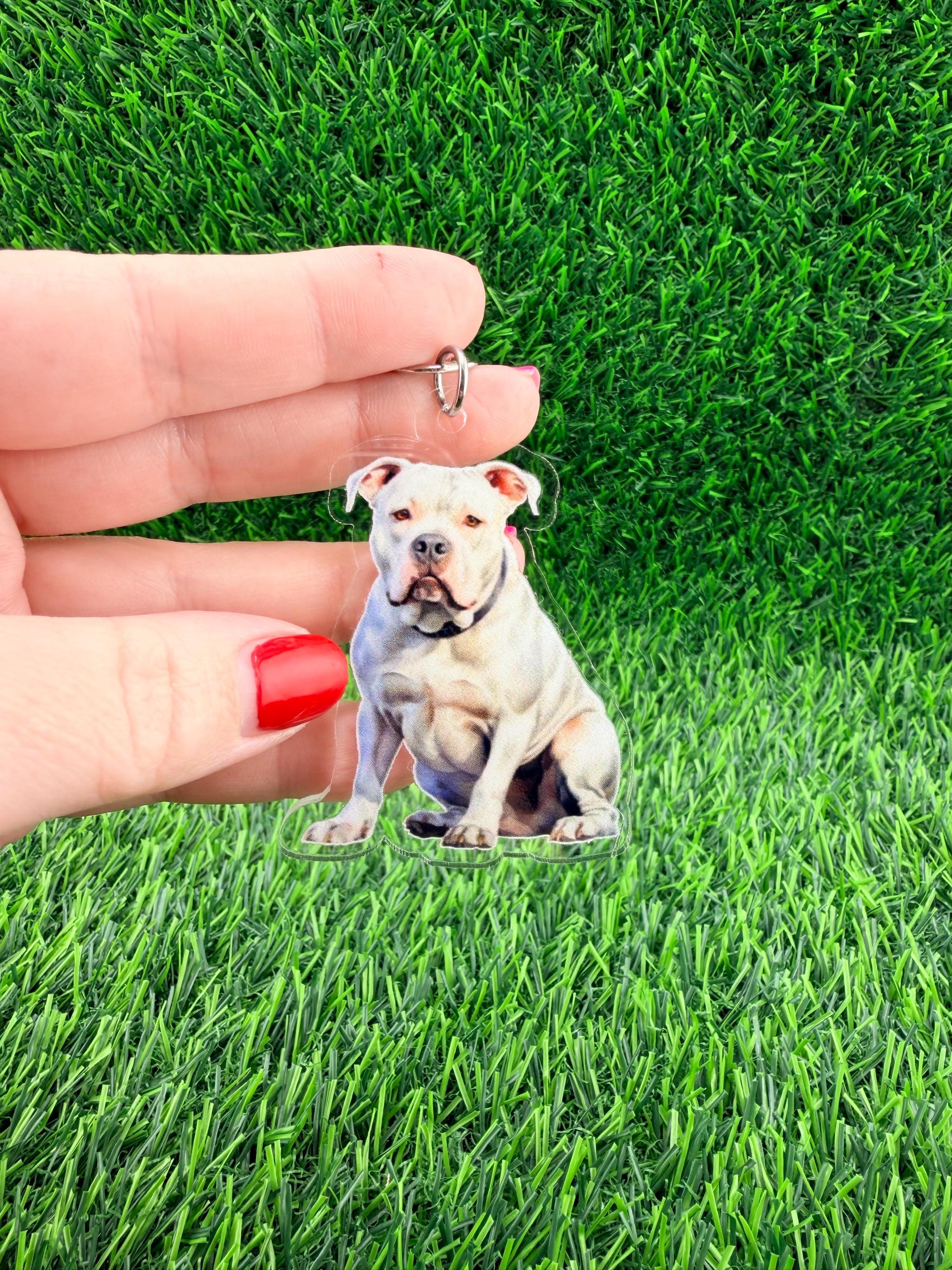 American Bulldog Keychain