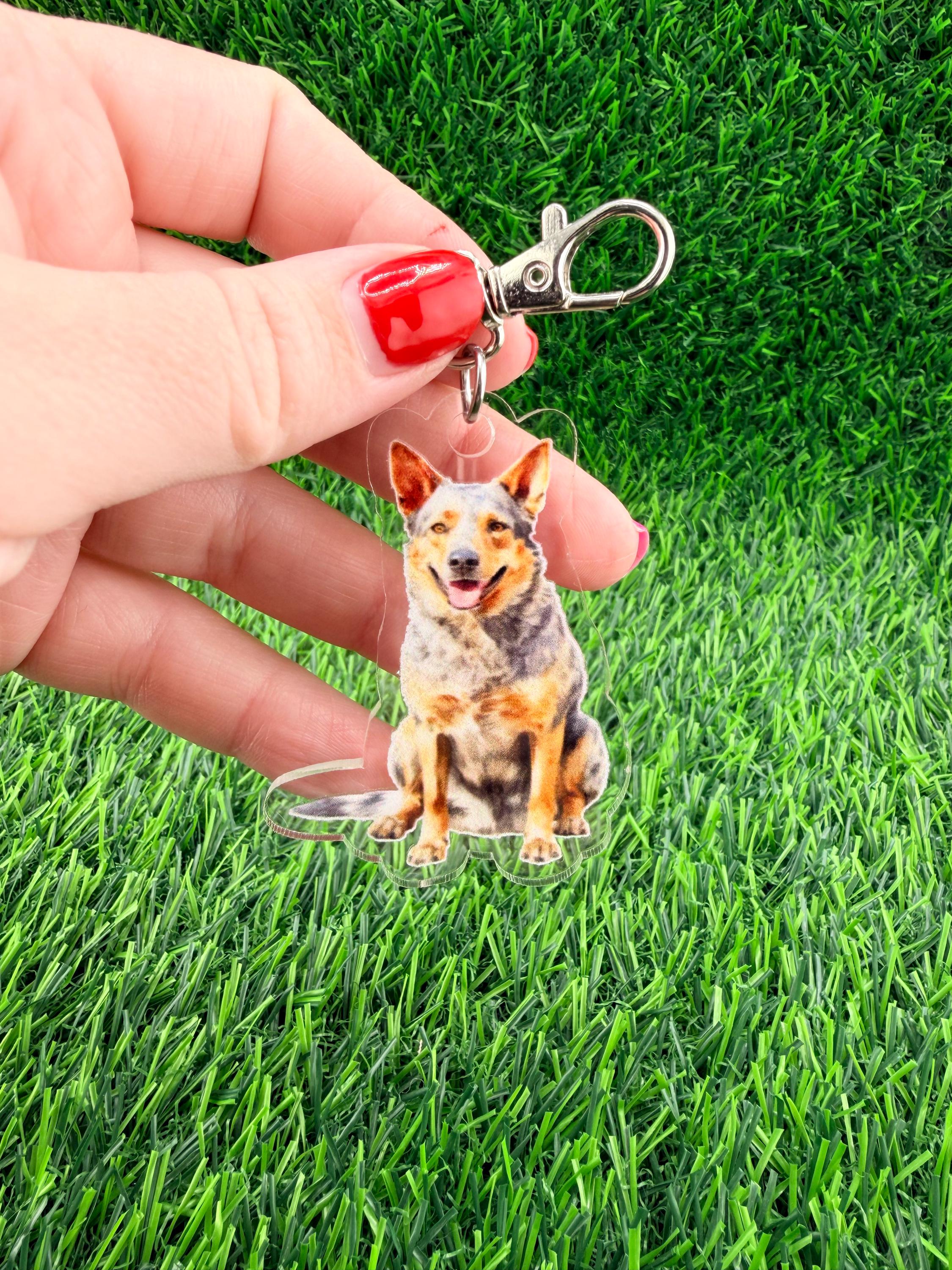 Australian Cattle Dog Keychain