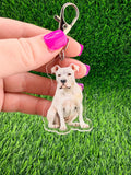 Dogo Argentino Dog Keychain