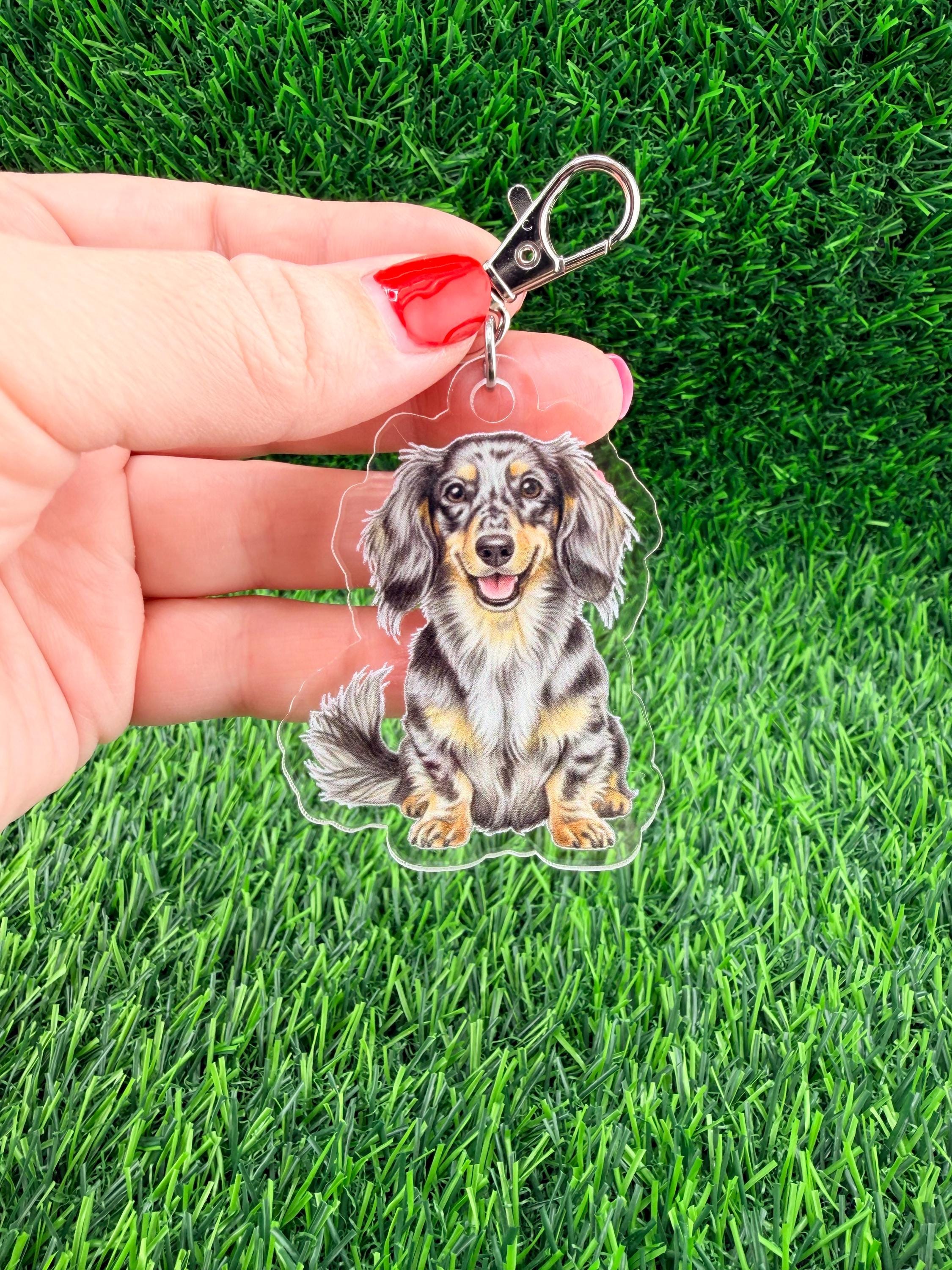 Long Haired Dachshund Dapple Dog Breed Keychain