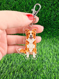 Border Collie Red White Keychain