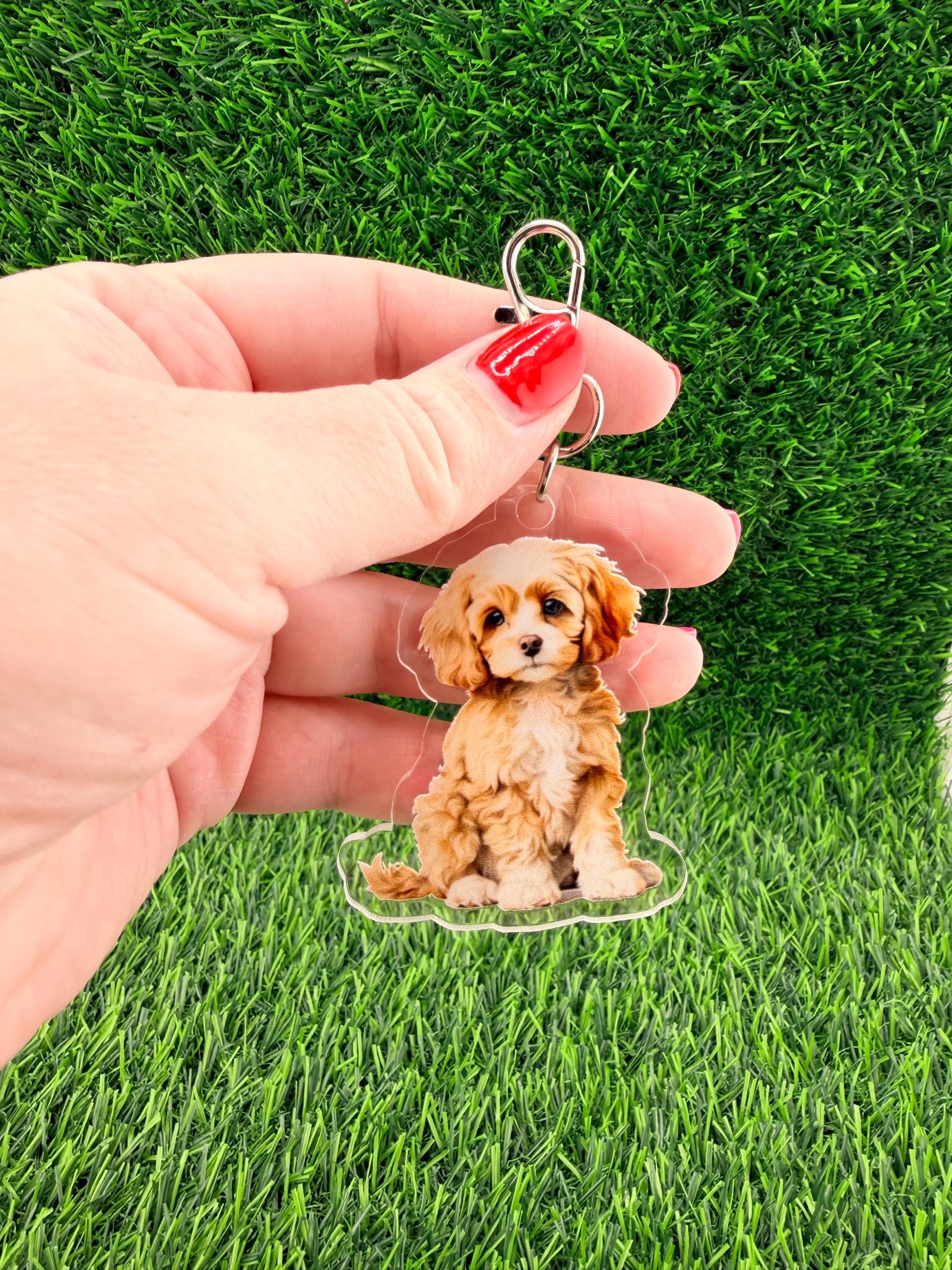 Cavapoo Cream White Tan Dog Keychain