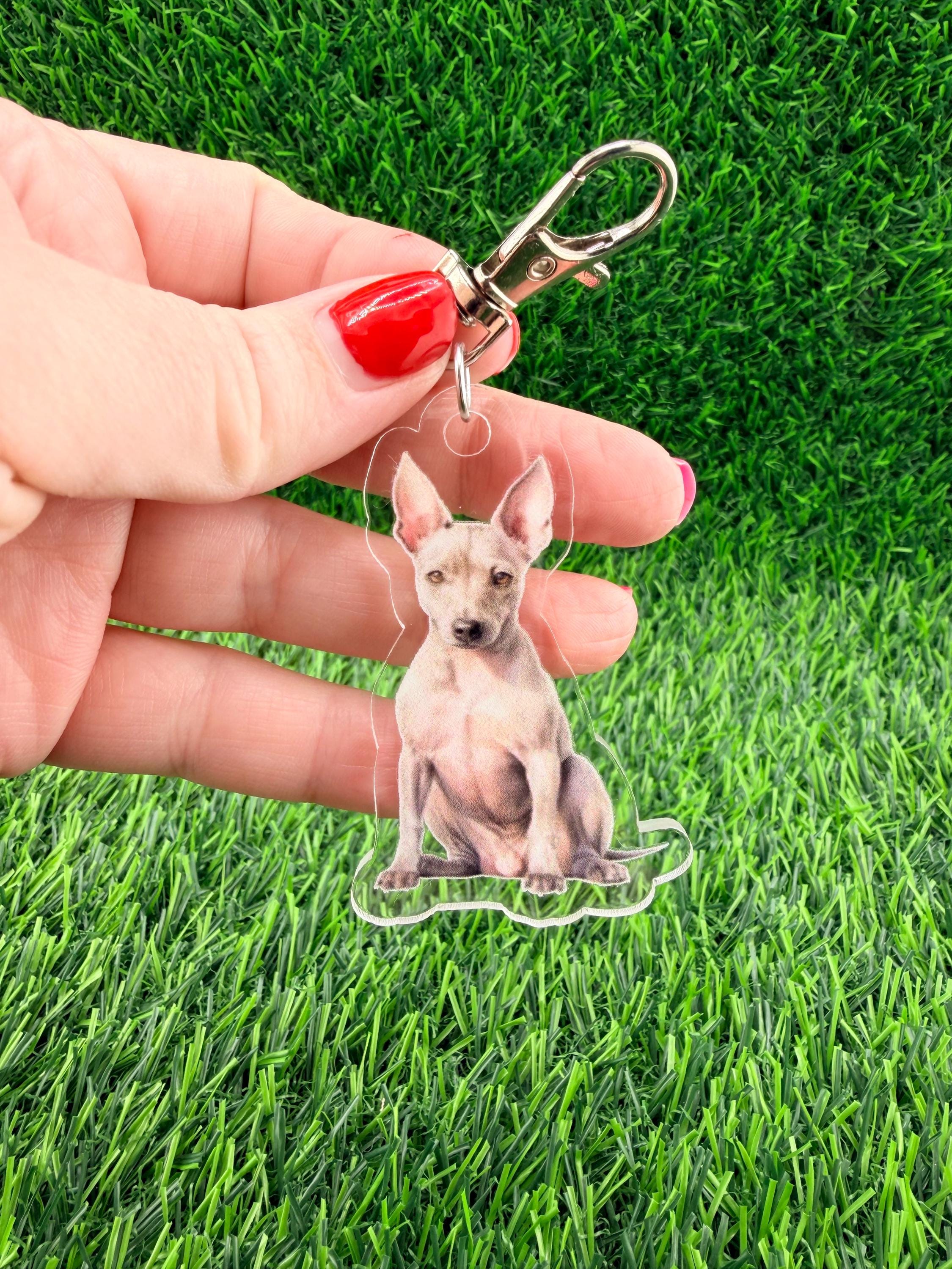 American Hairless Terrier Keychain