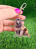 Newfoundland Dog Keychain