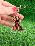 American Water Spaniel Keychain