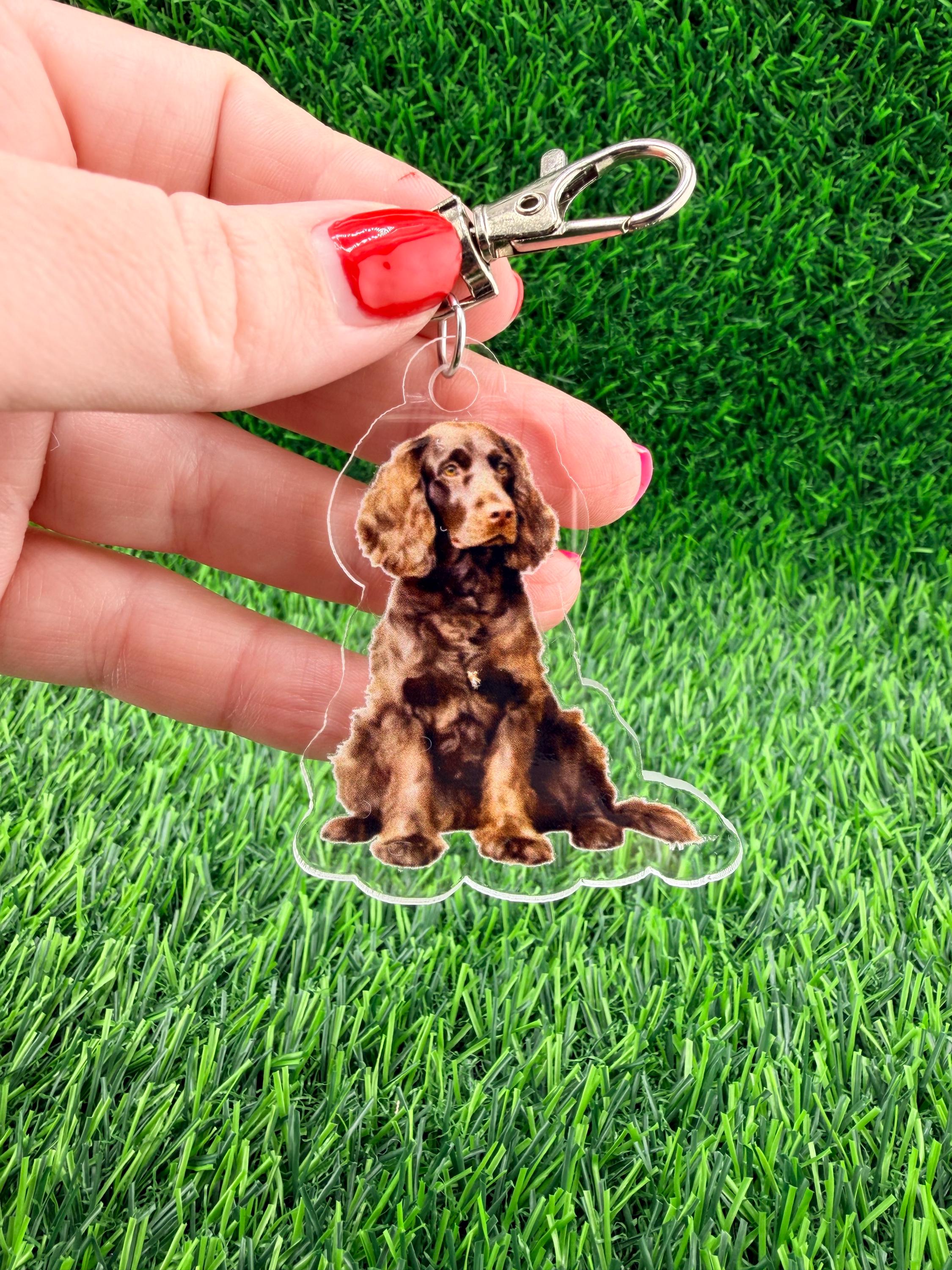 American Water Spaniel Keychain