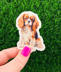 Cavalier King Charles Spaniel Dog Sticker