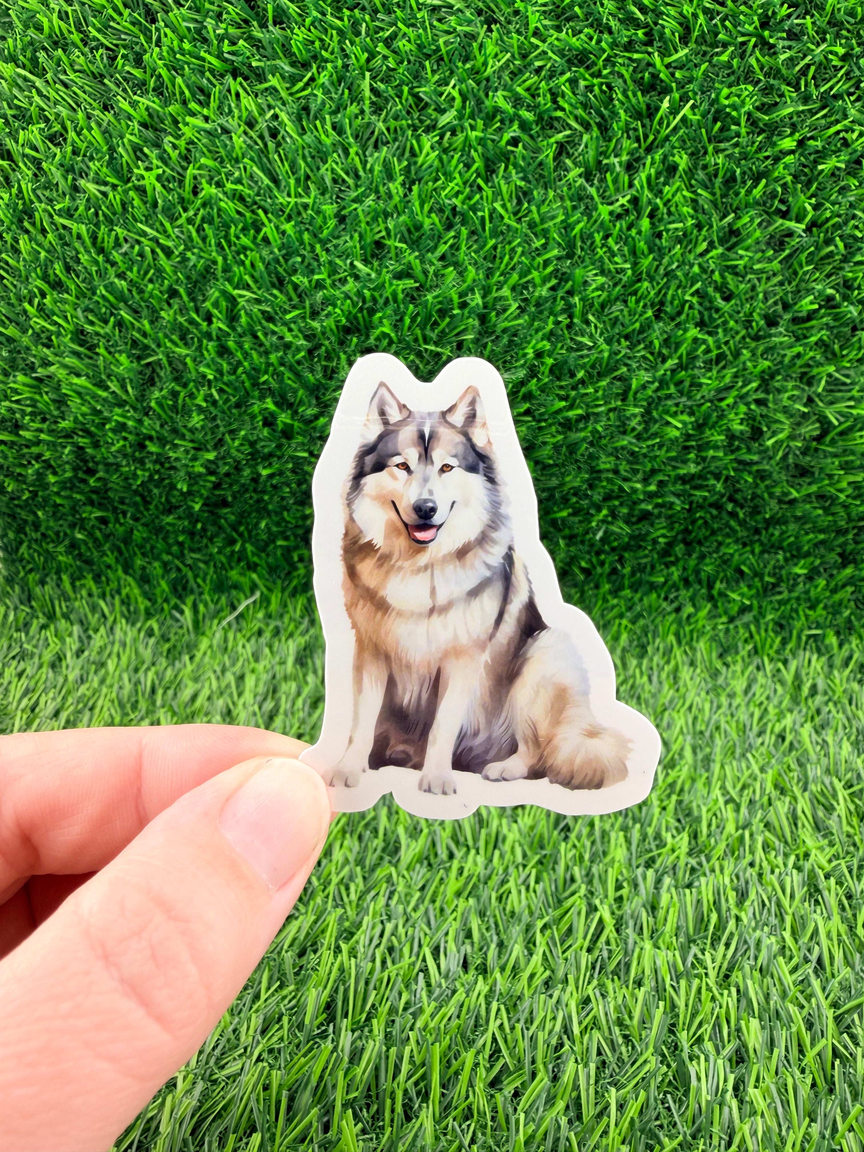 Alaskan Malamute Sticker