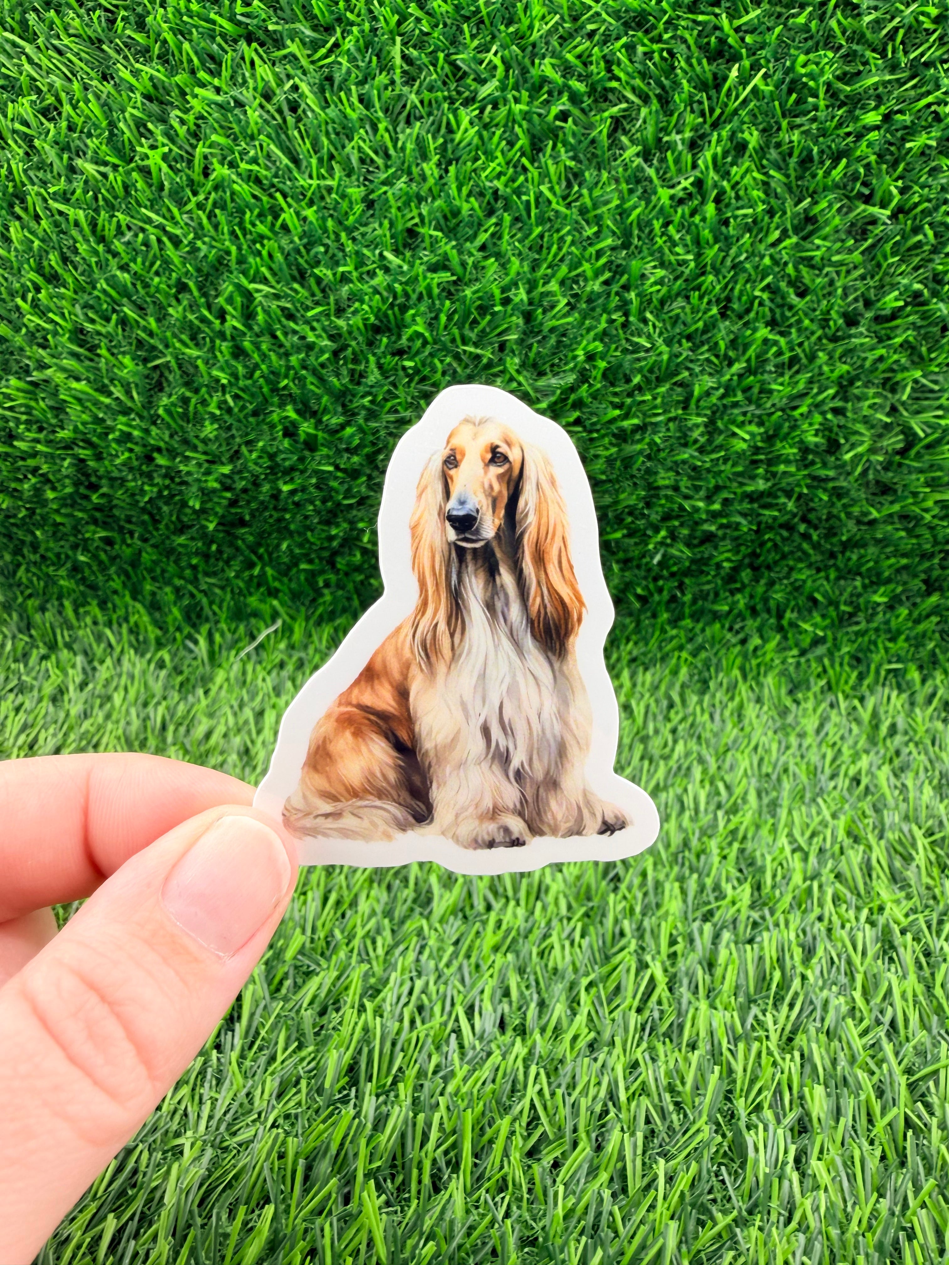 Afghan Hound Sticker