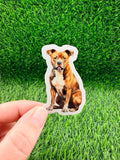 American Staffy