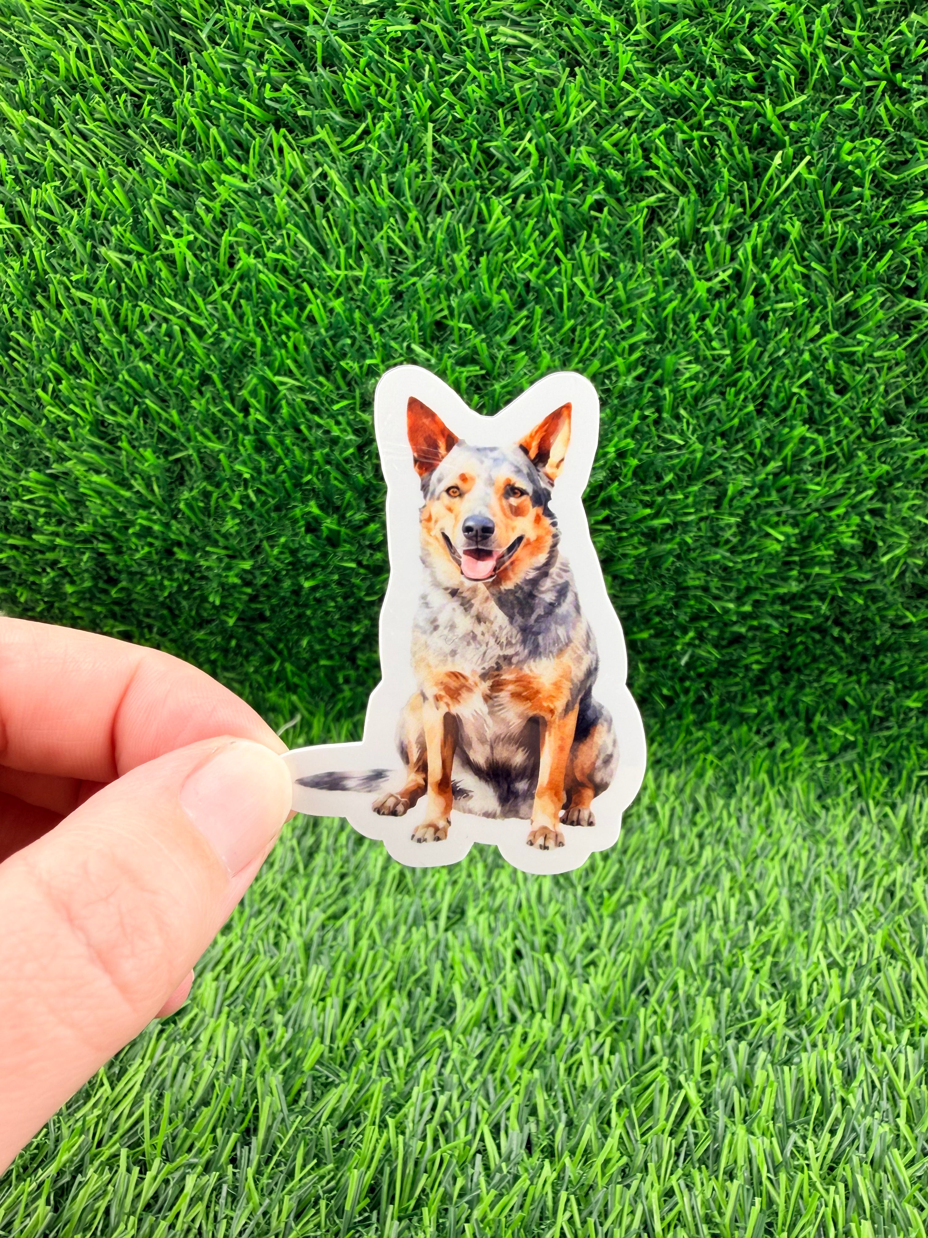 Australian Terrier