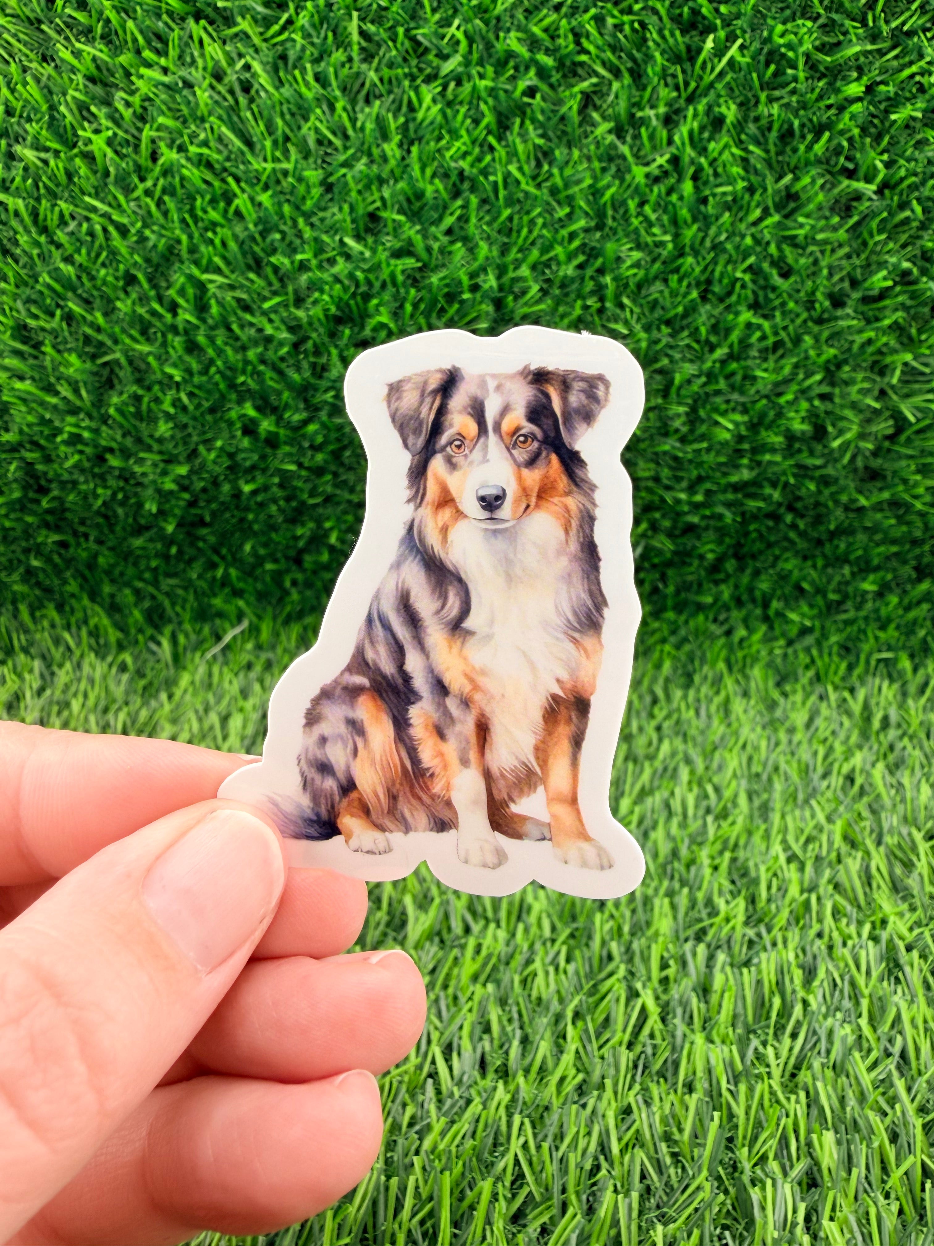 Australian Shepherd Dog Sticker