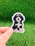 Bernedoodle