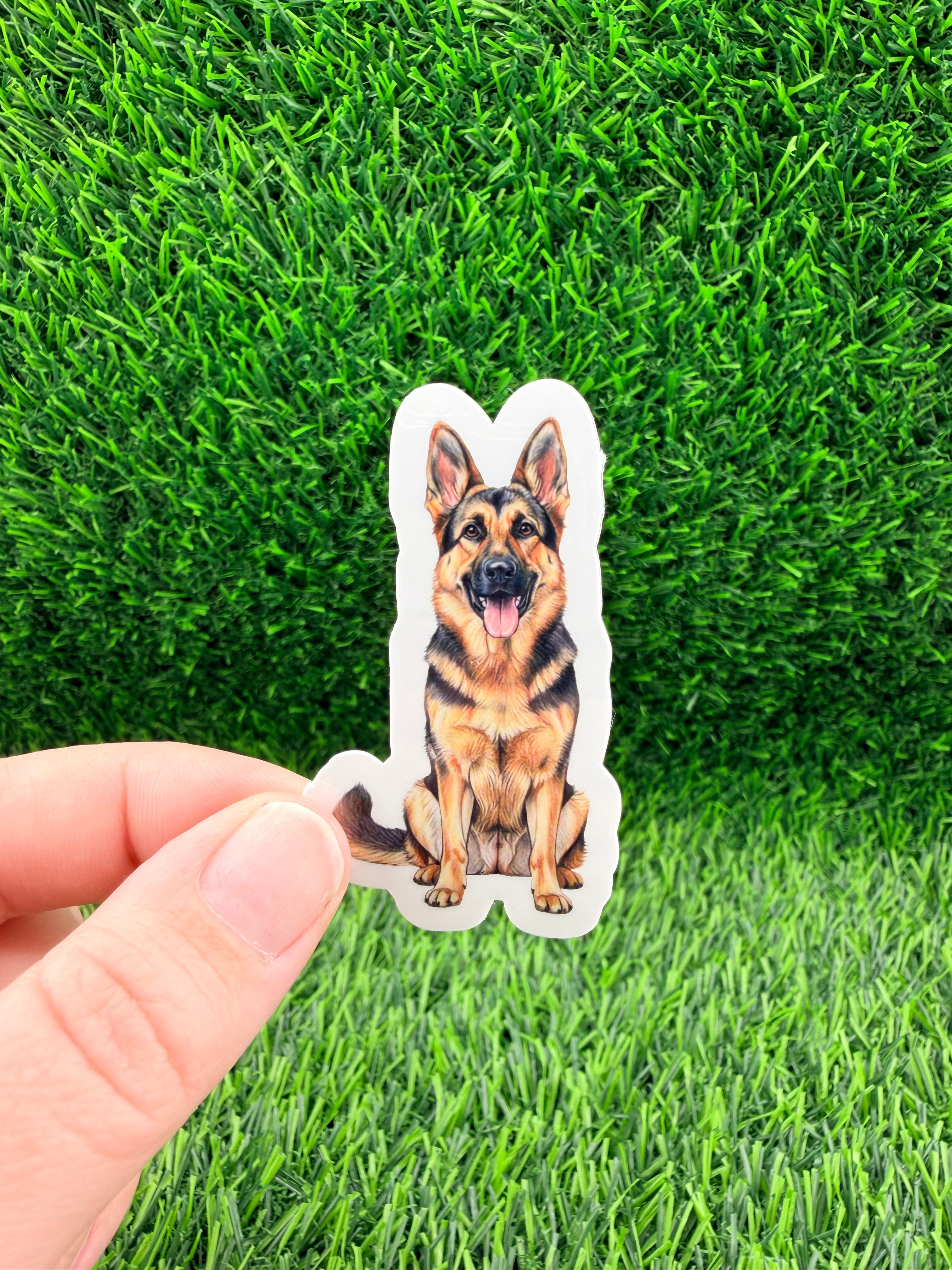 German Shepherd Sable