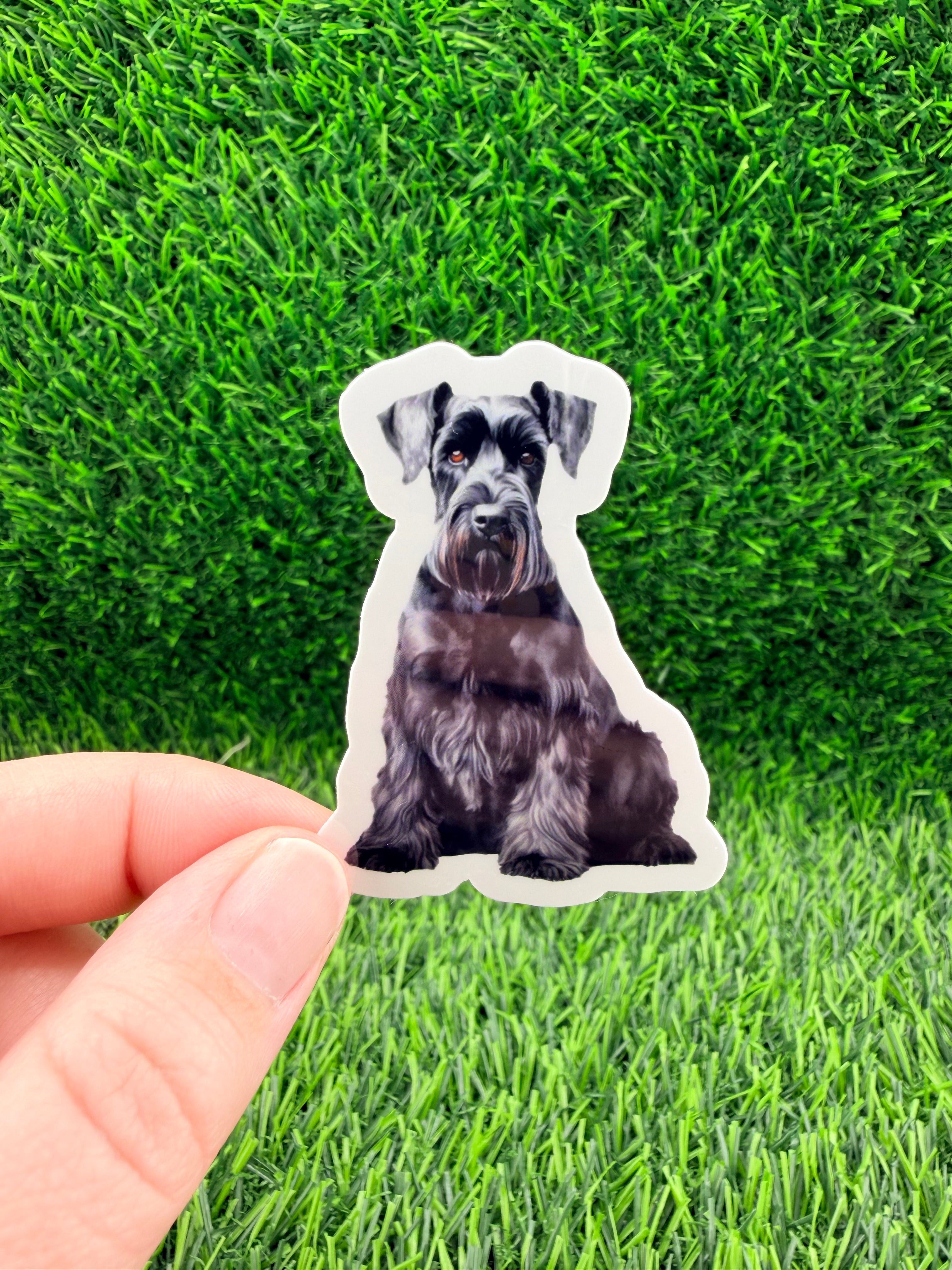 Giant Schnauzer