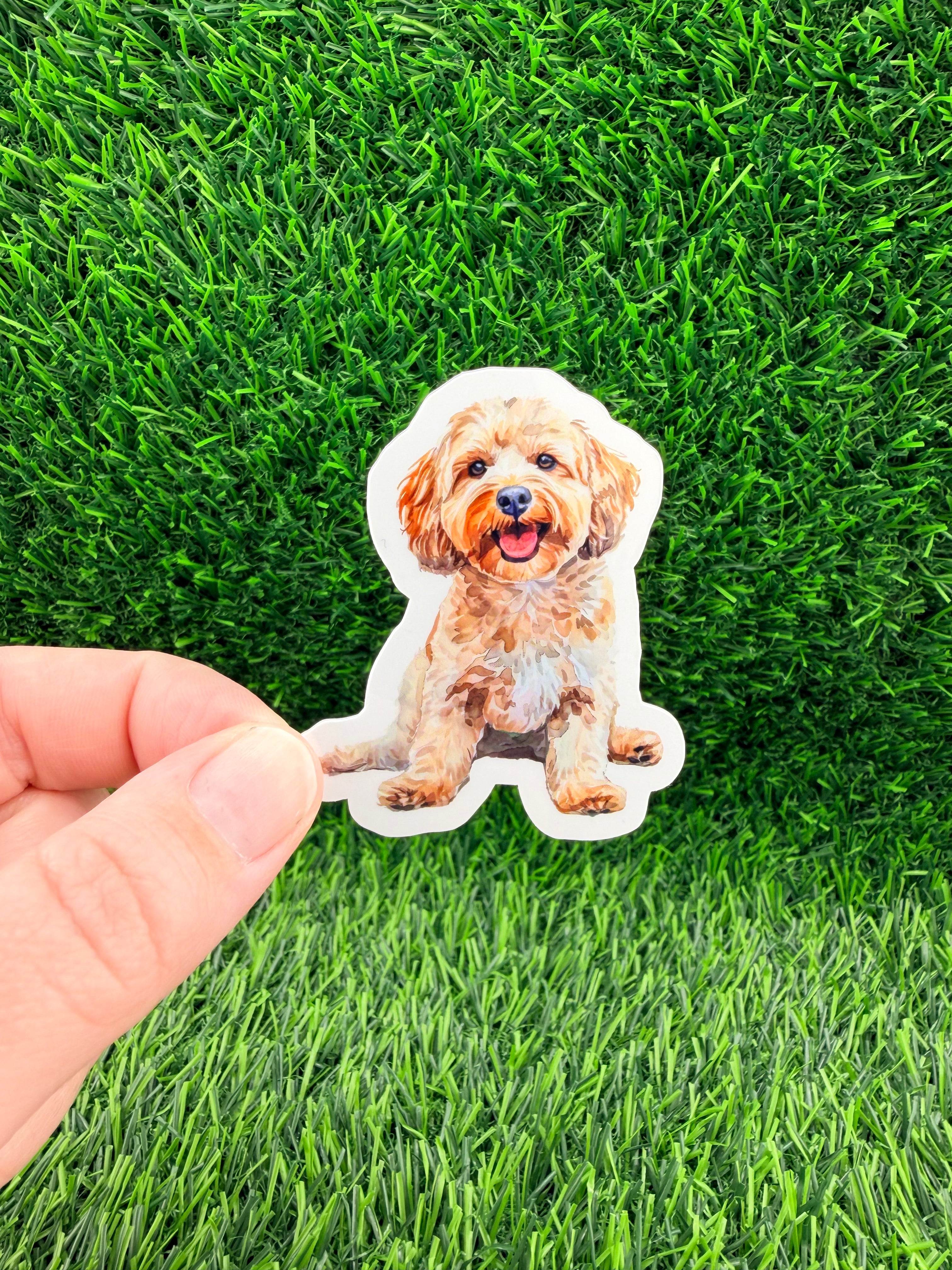 Cockapoo Sticker