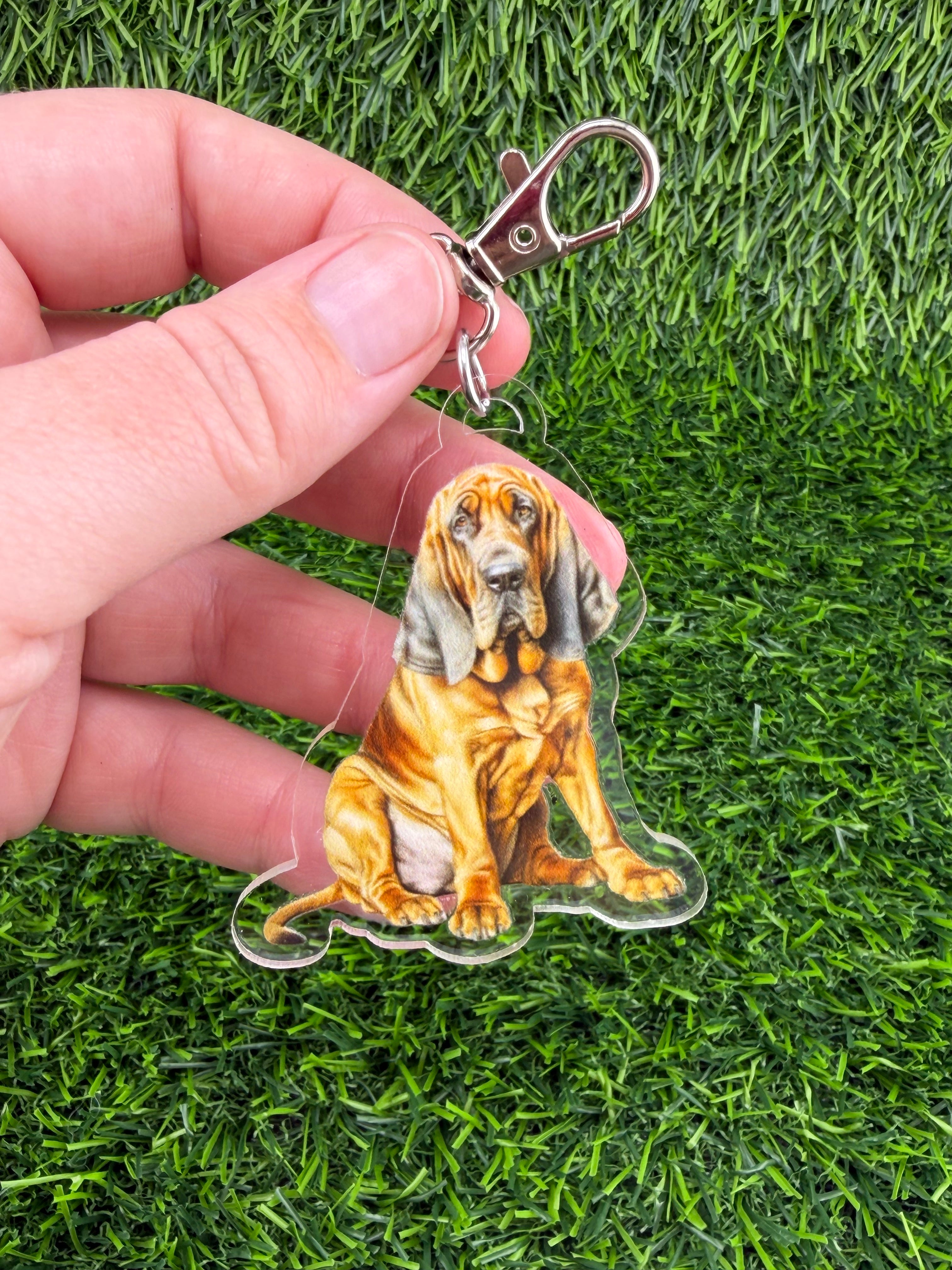 Bloodhound Keychain