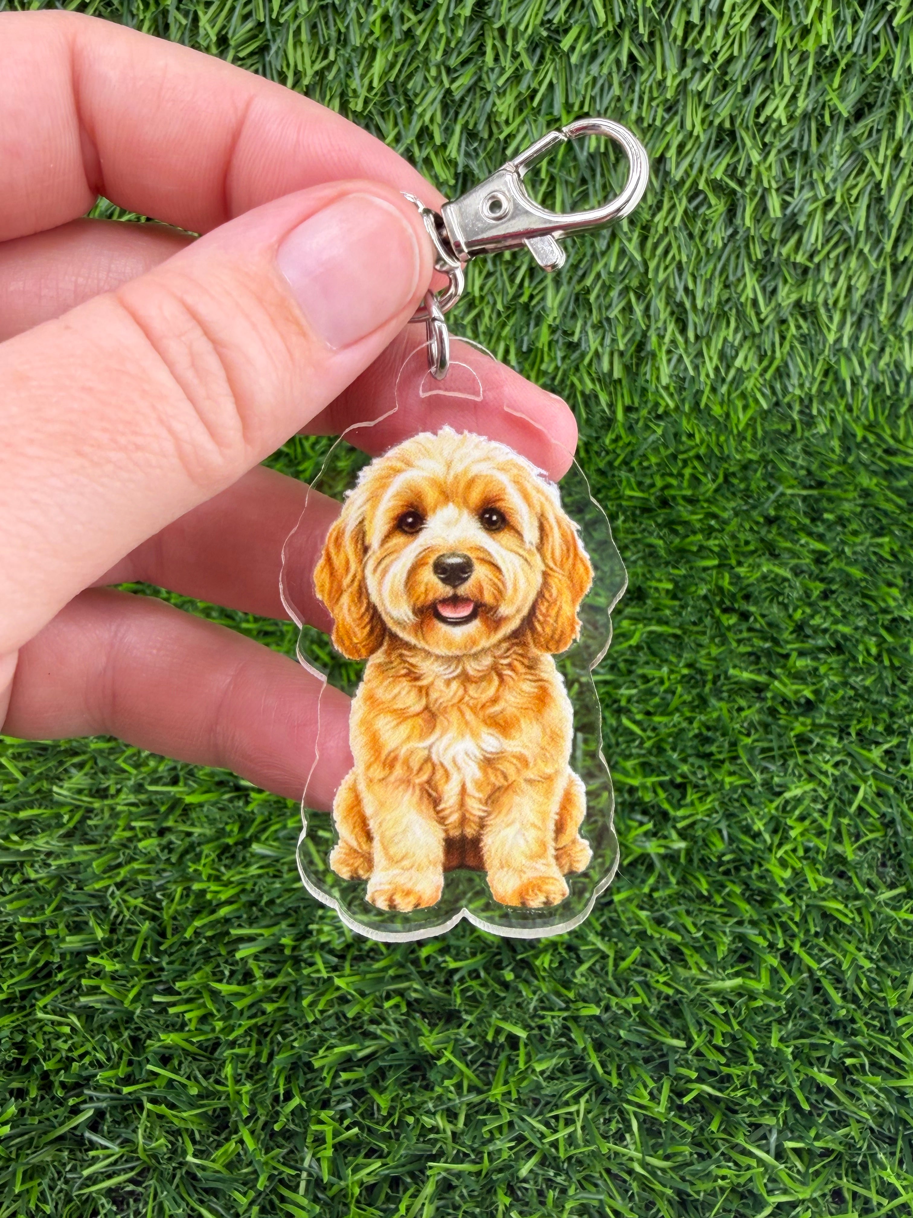 Cavapoo Apricot Keychain