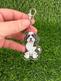 Cavapoo Black and White