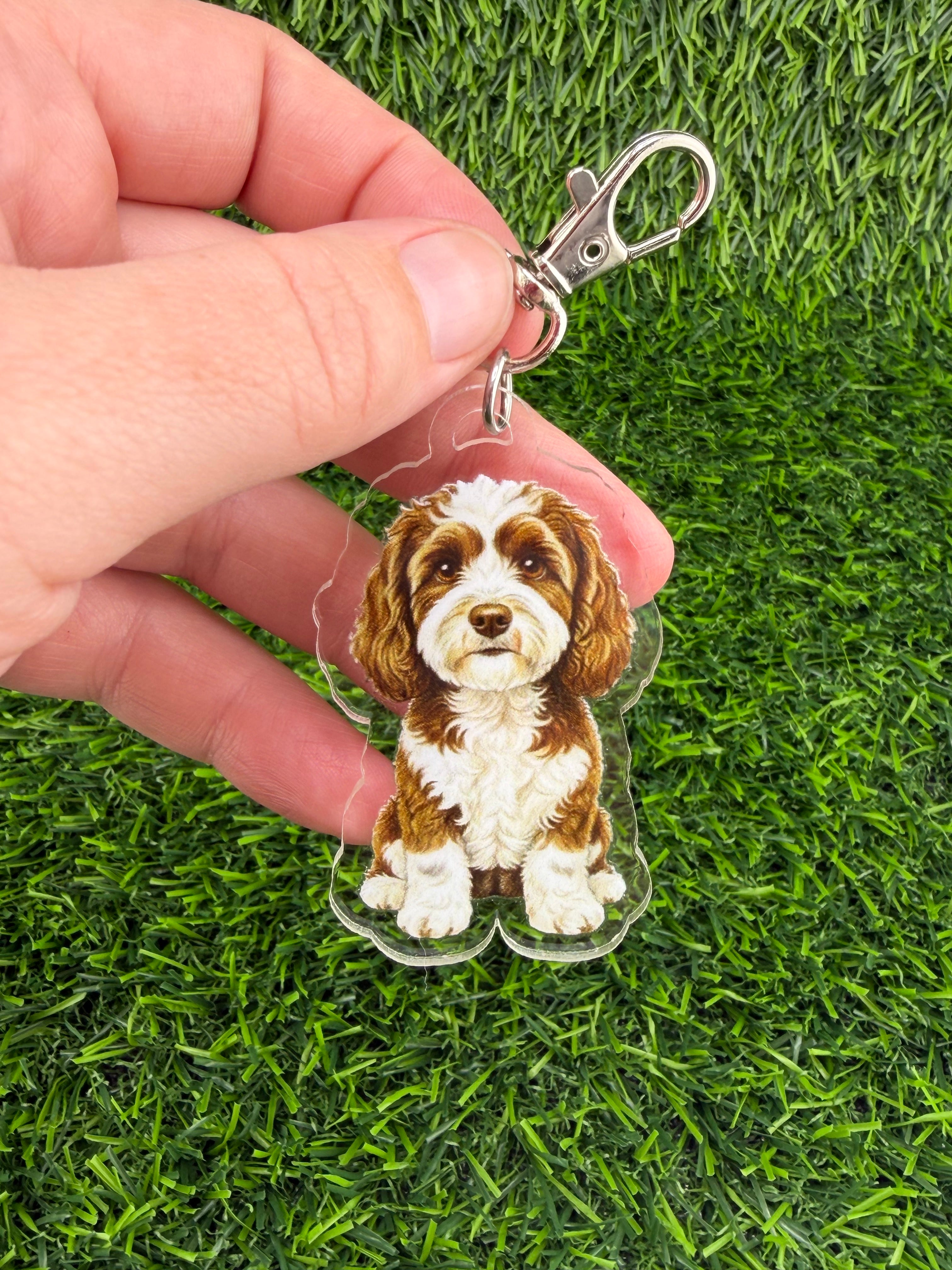 Cavapoo Brown and White Keychain