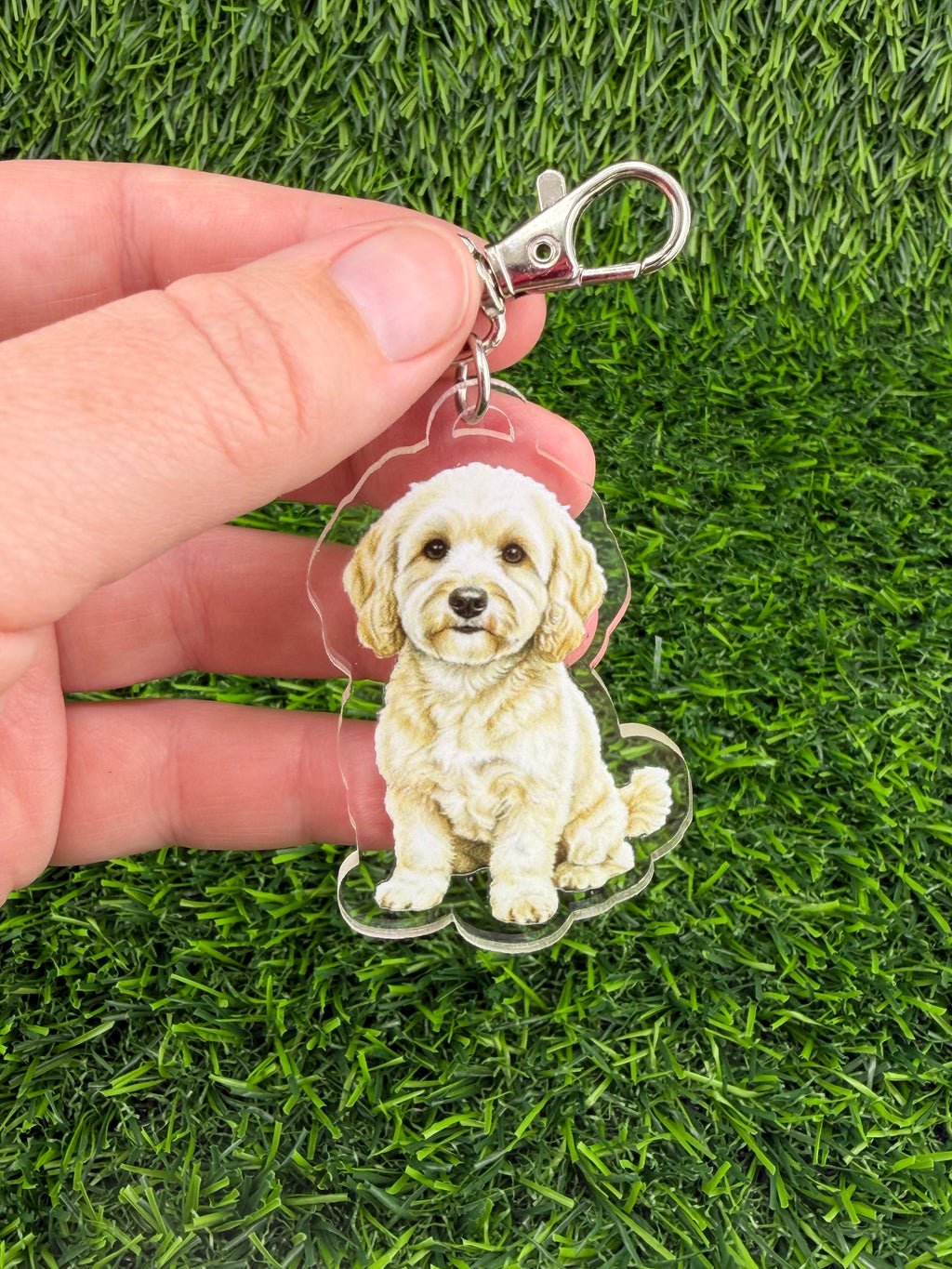 Cavapoo Cream Keychain