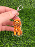 Cavapoo Red Keychain
