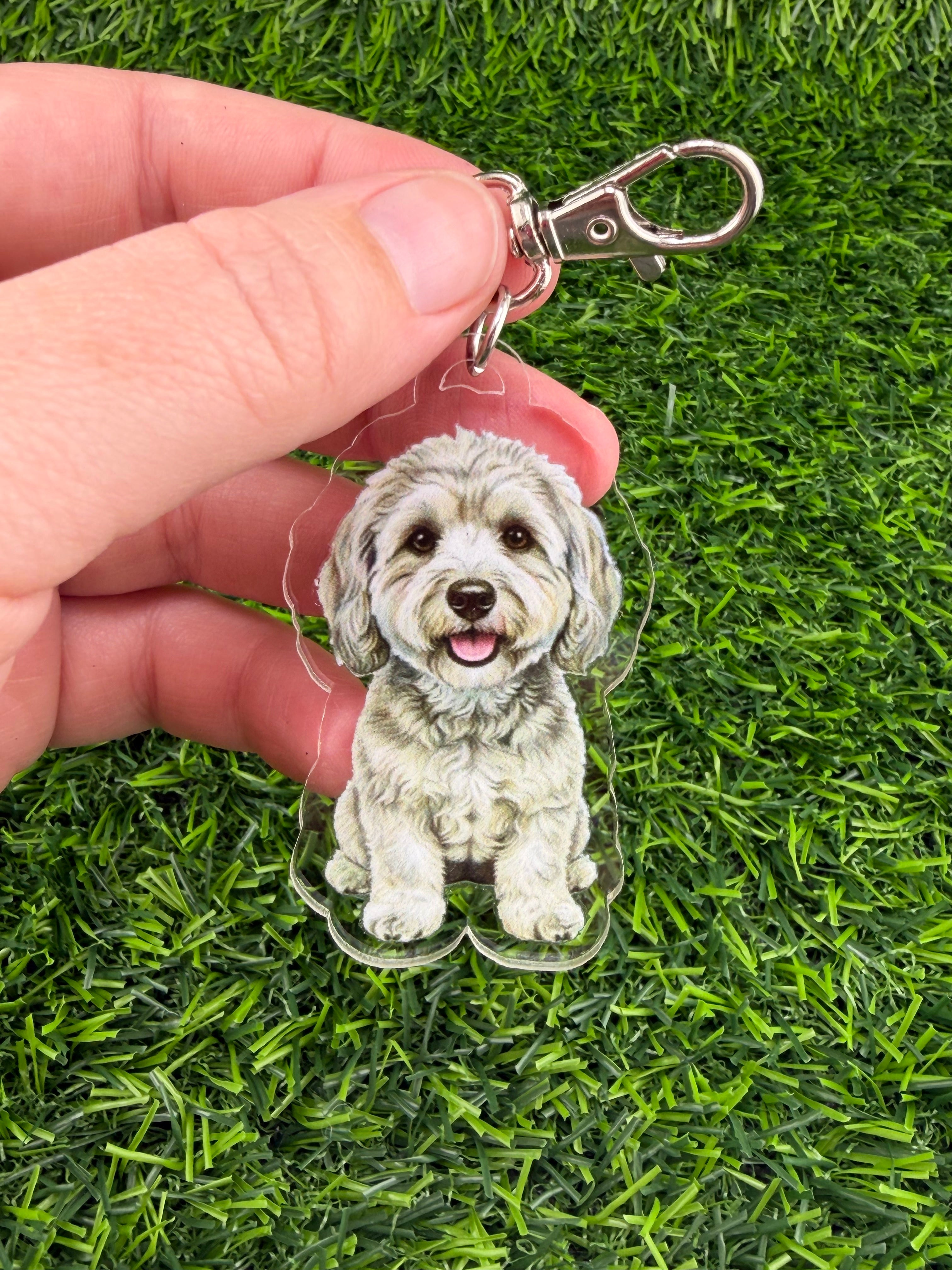 Cavapoo Silver Keychain