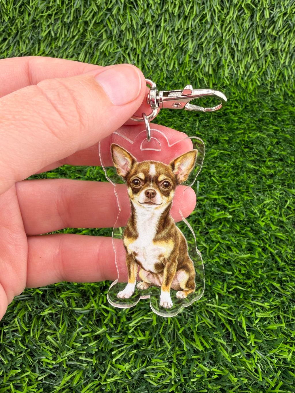 Chihuahua Chocolate and White Keychain