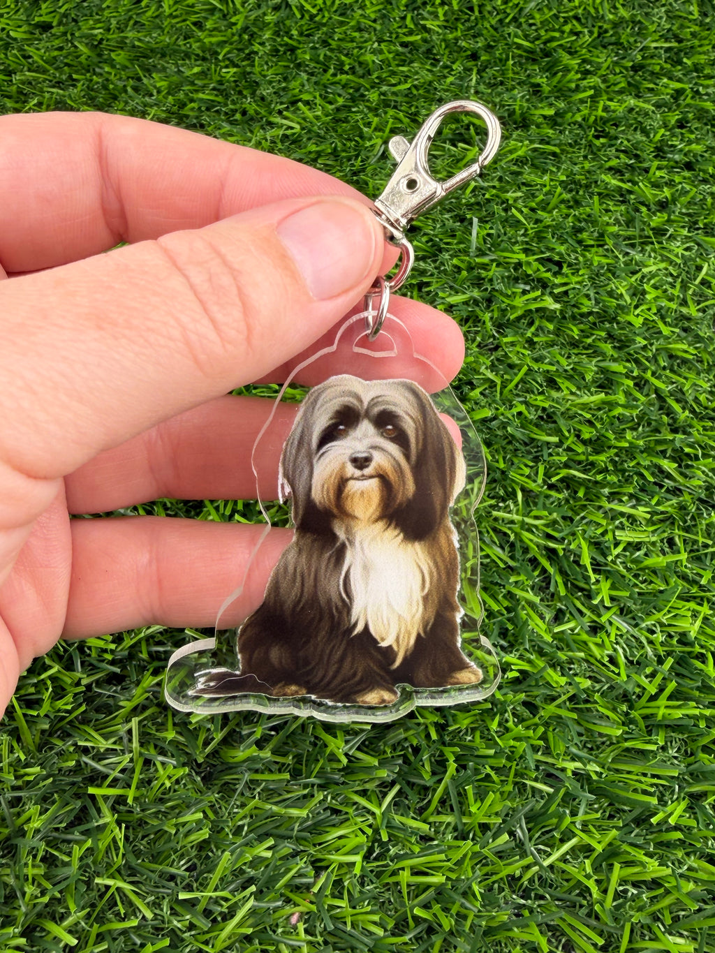 Havanese Brown and Tan Keychain