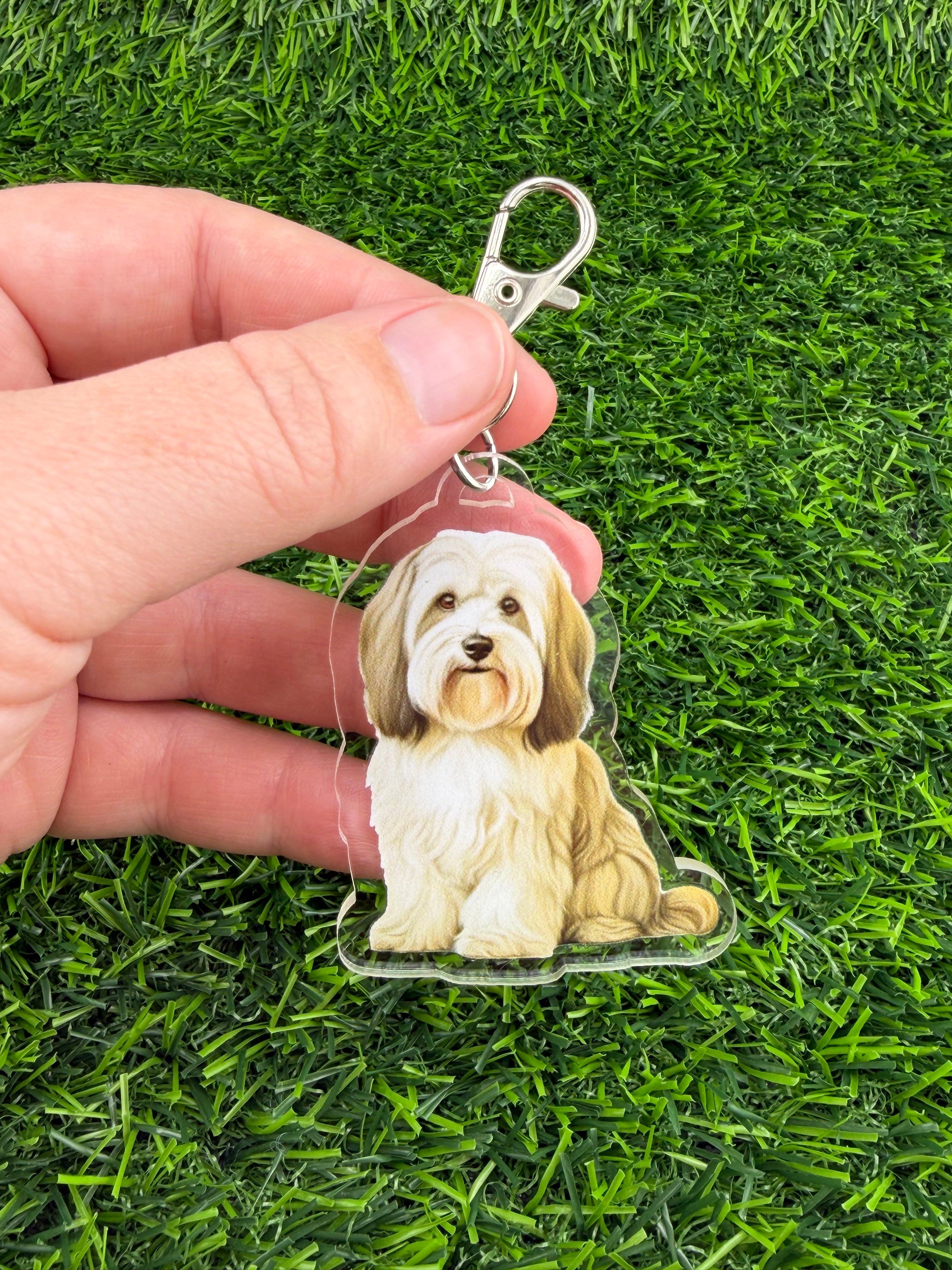 Havanese Cream and Light Brown Keychain