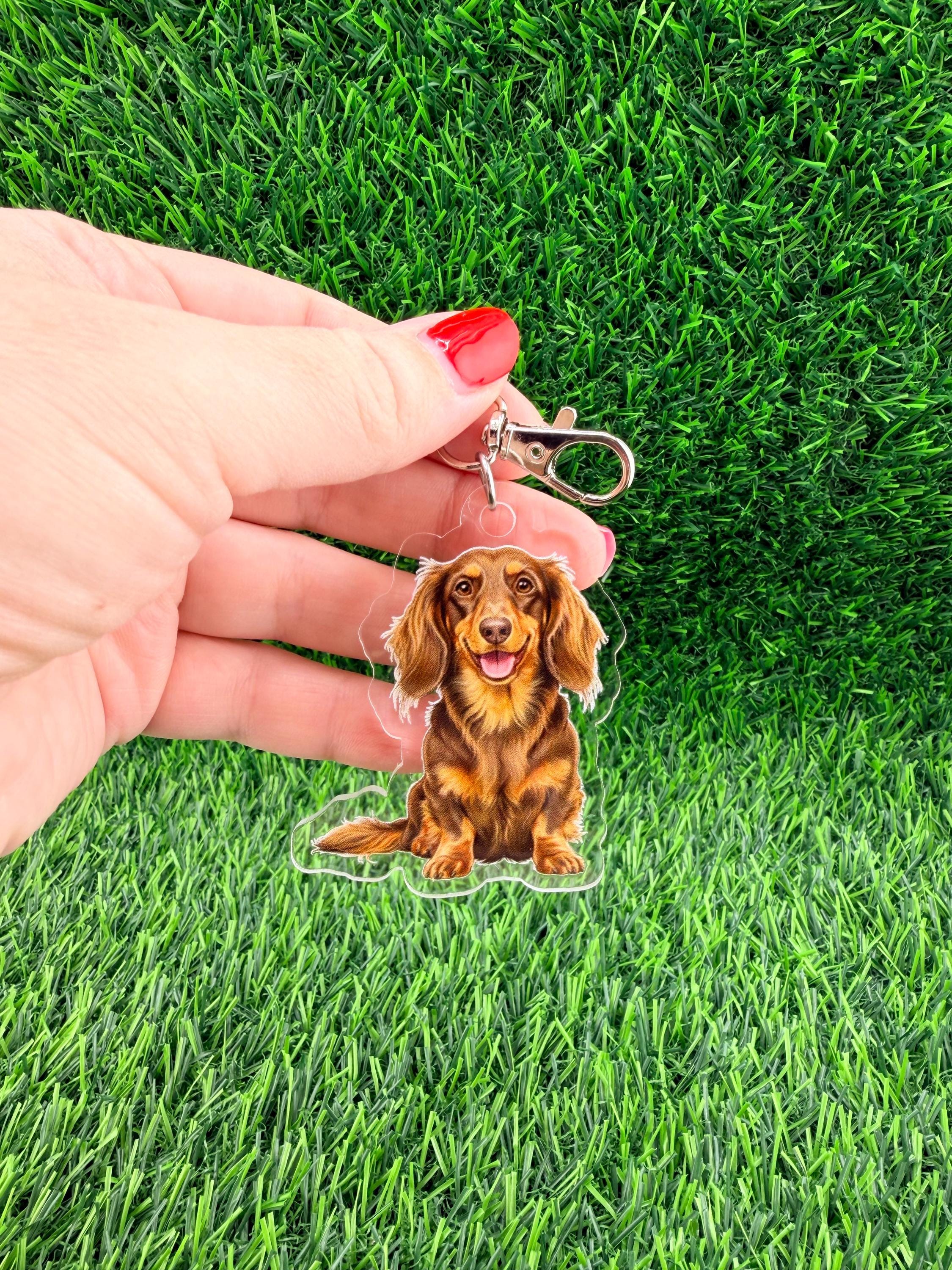 Long Haired Dachshund Chocolate Tan Dog Breed Keychain