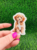 Cavapoo Dog Sticker