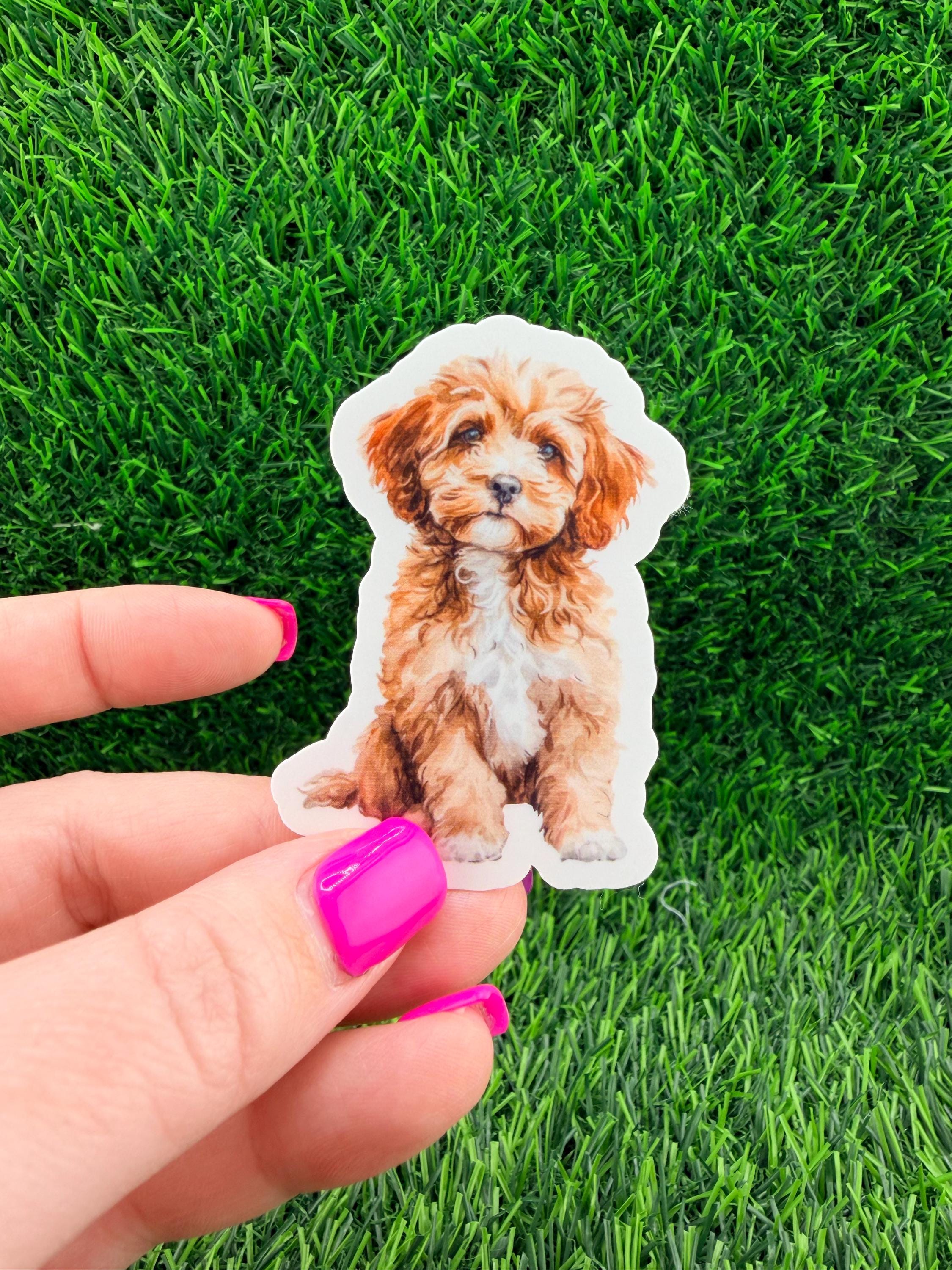 Cavapoo Dog Sticker