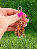 Chesapeake Bay Retriever Keychain