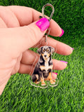 Entlebucher Mountain Dog Keychain