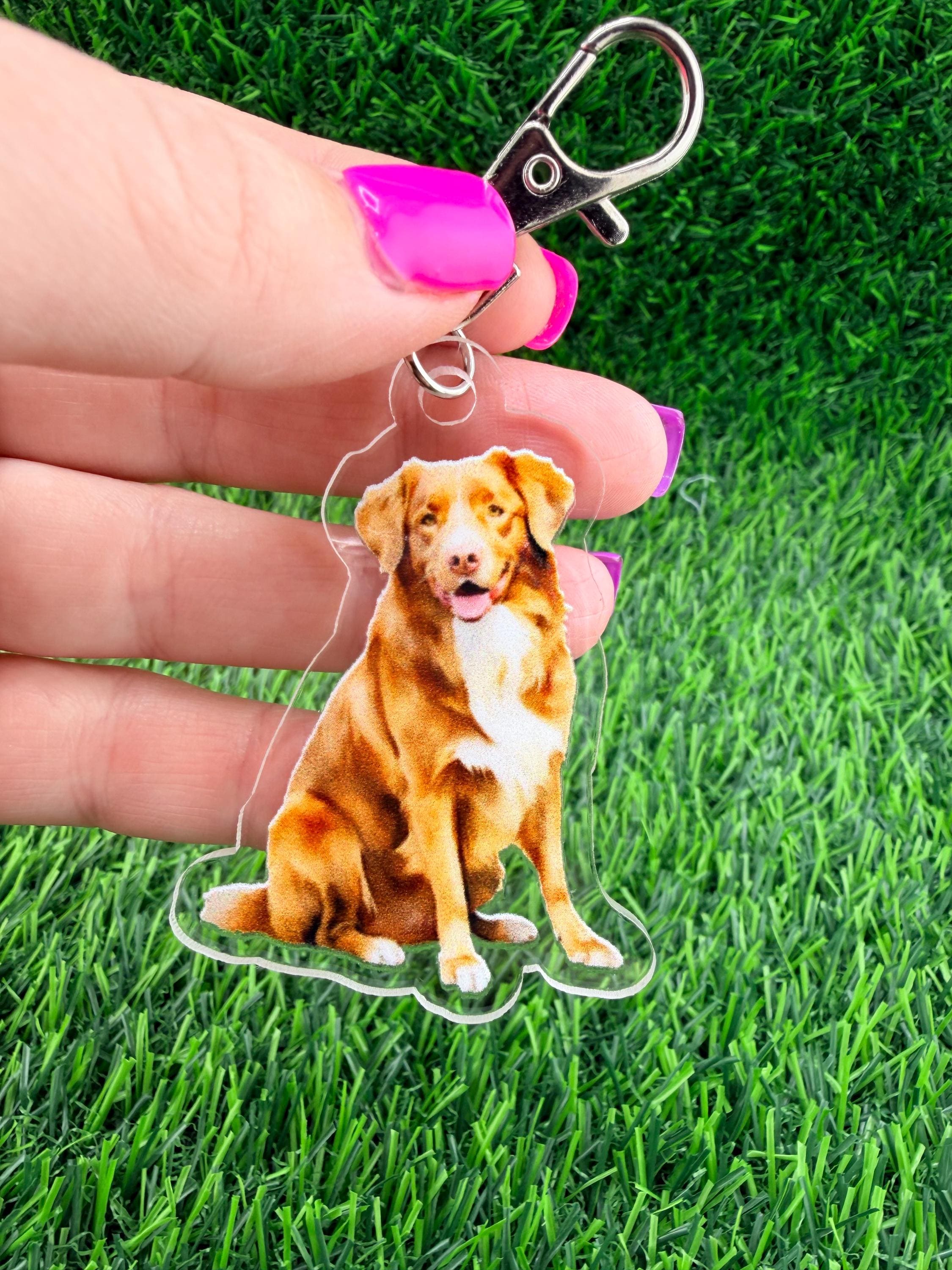 Nova Scotia Duck Tolling Retriever Dog Keychain