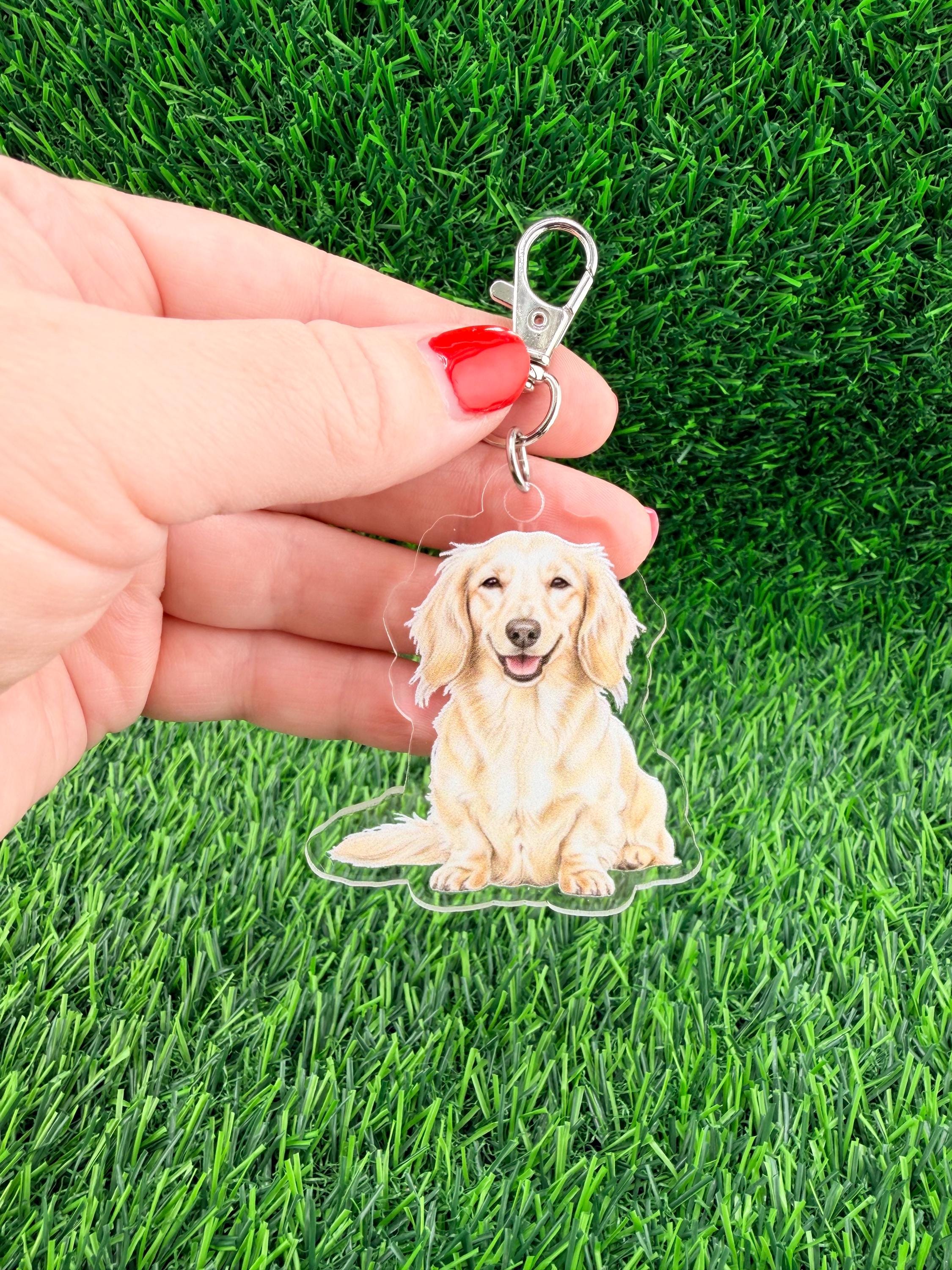 Long Haired Dachshund Cream Dog Breed Keychain