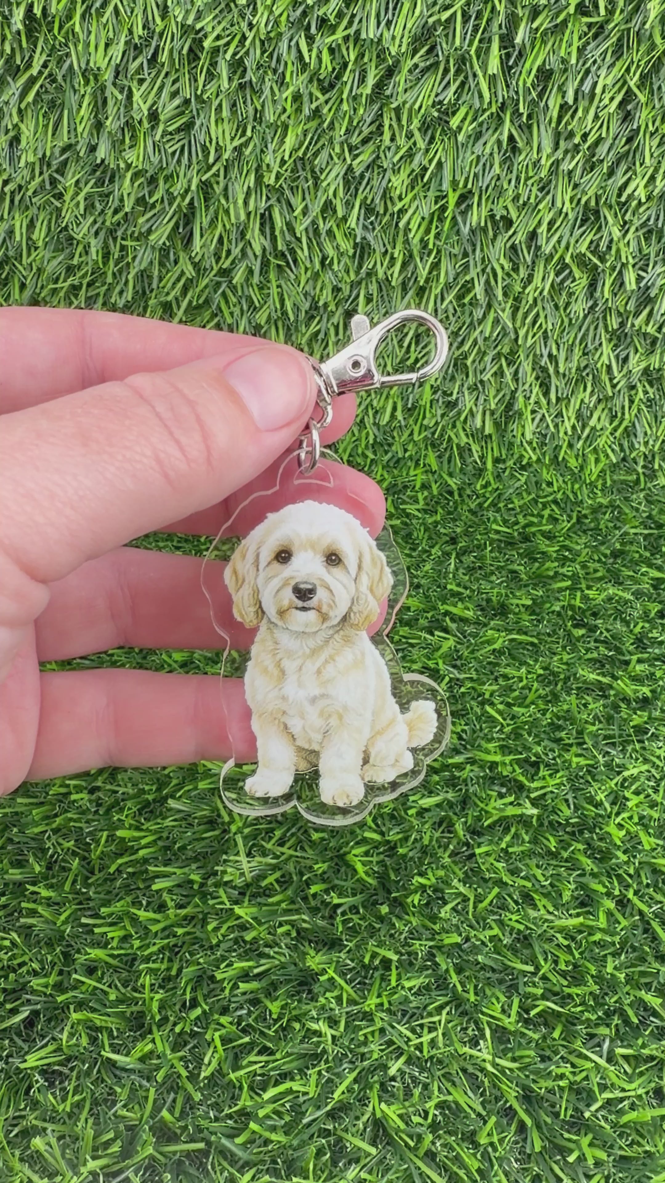 Cavapoo Cream Keychain