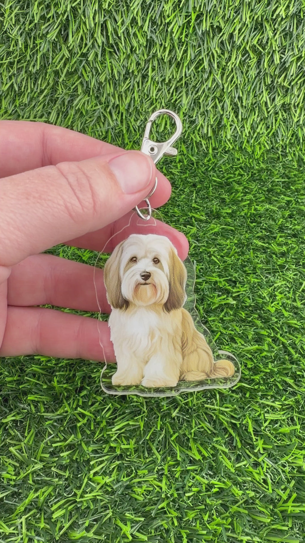 Havanese Cream and Light Brown Keychain