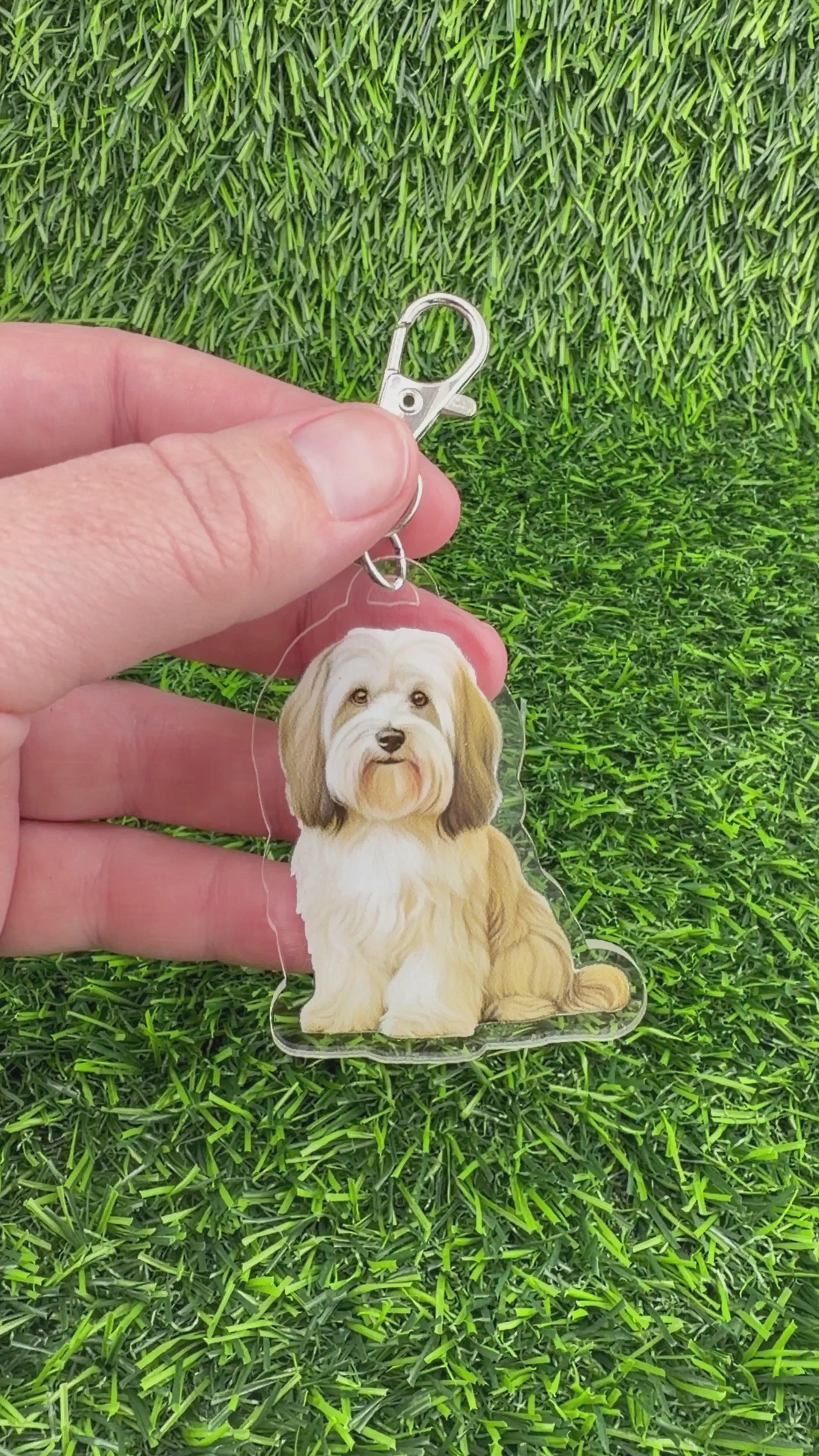 Havanese Cream and Light Brown Keychain