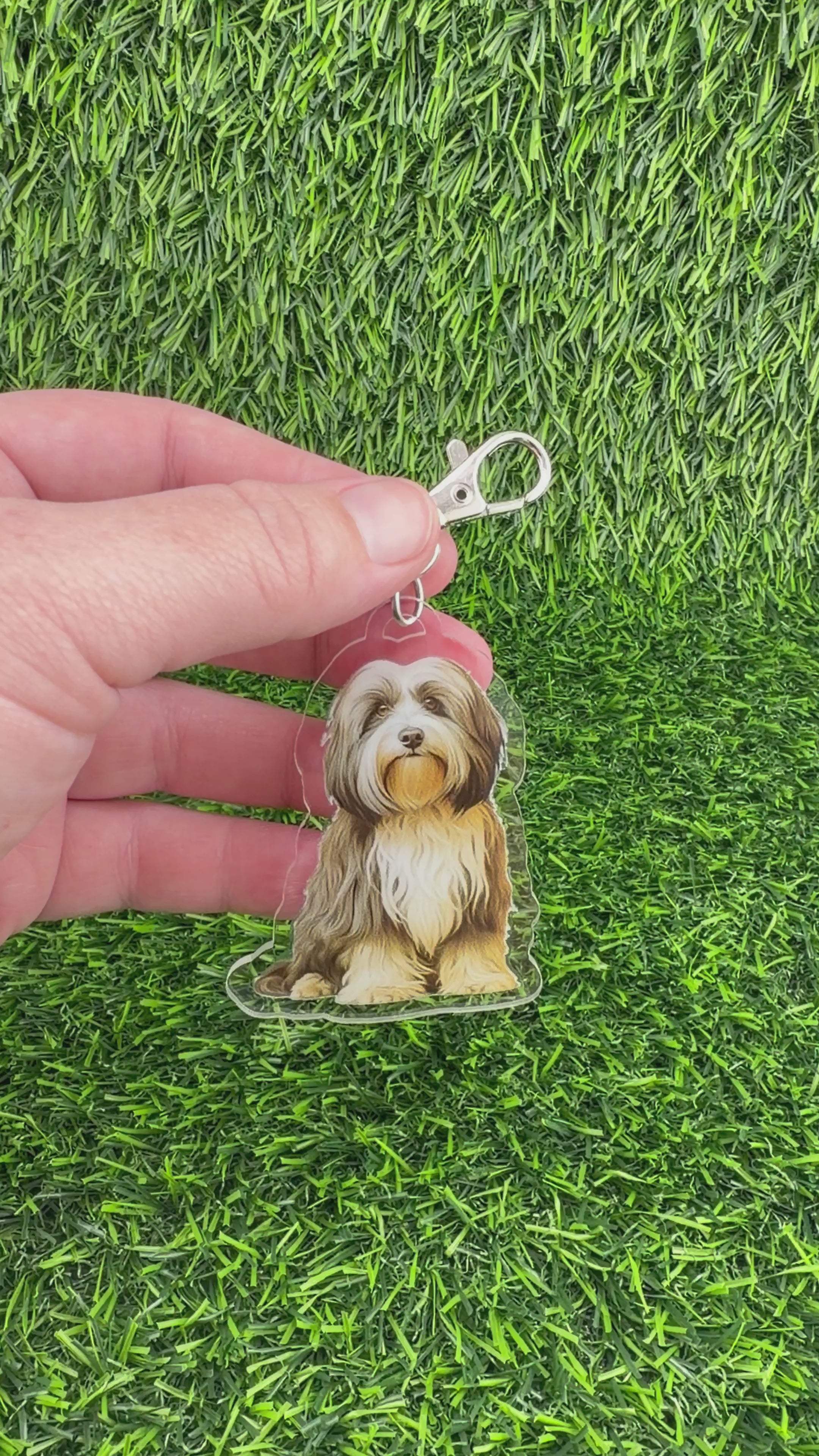 Havanese Cream, Tan, and Brown Keychain