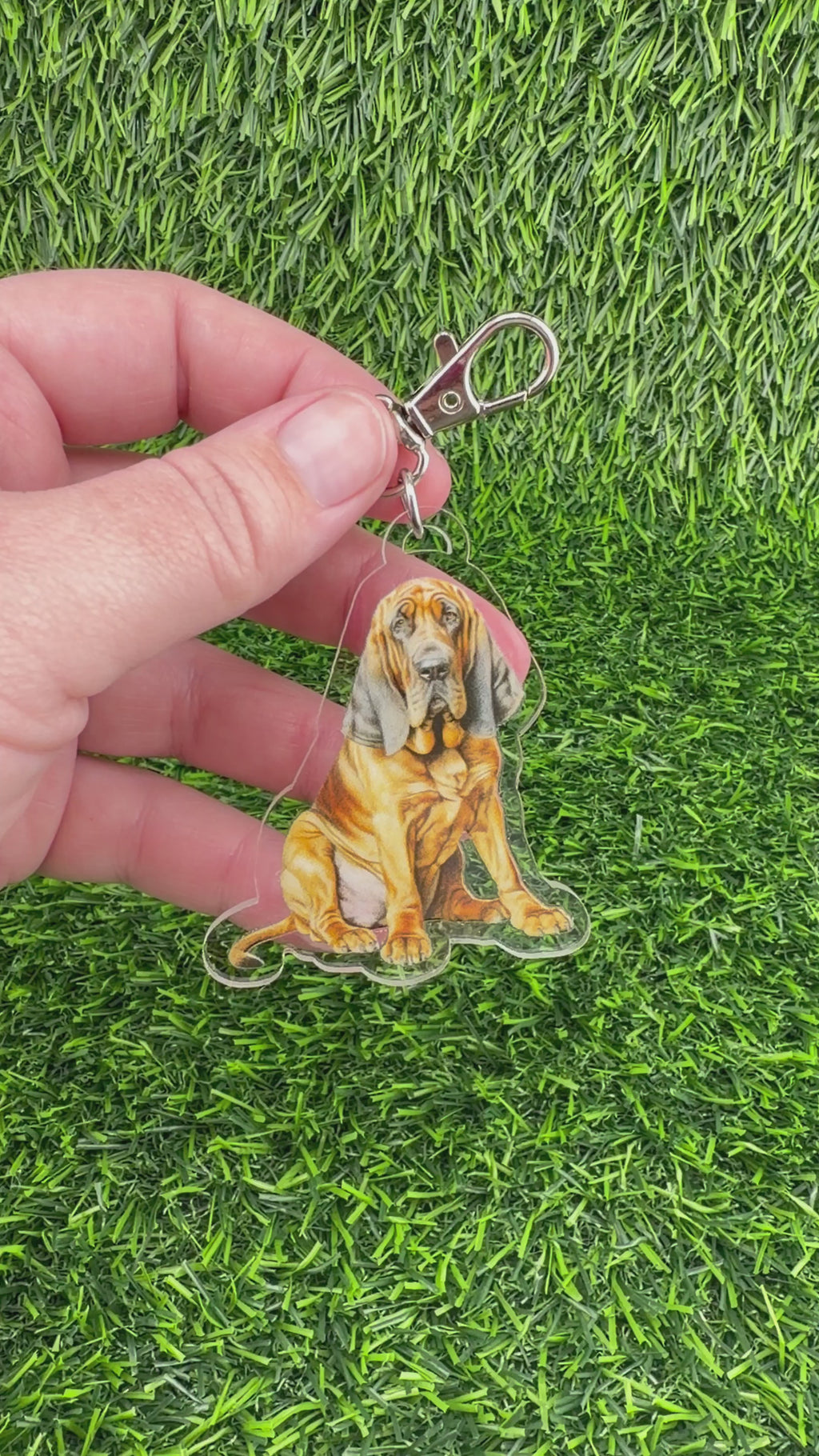 Bloodhound Keychain