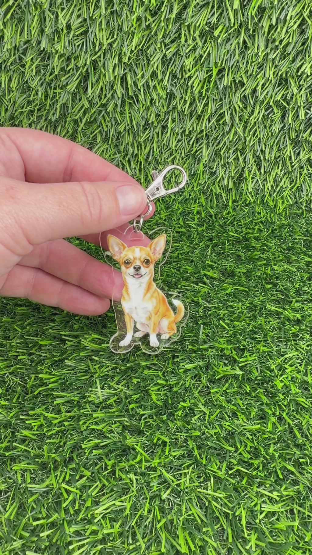 Chihuahua Fawn and White Keychain