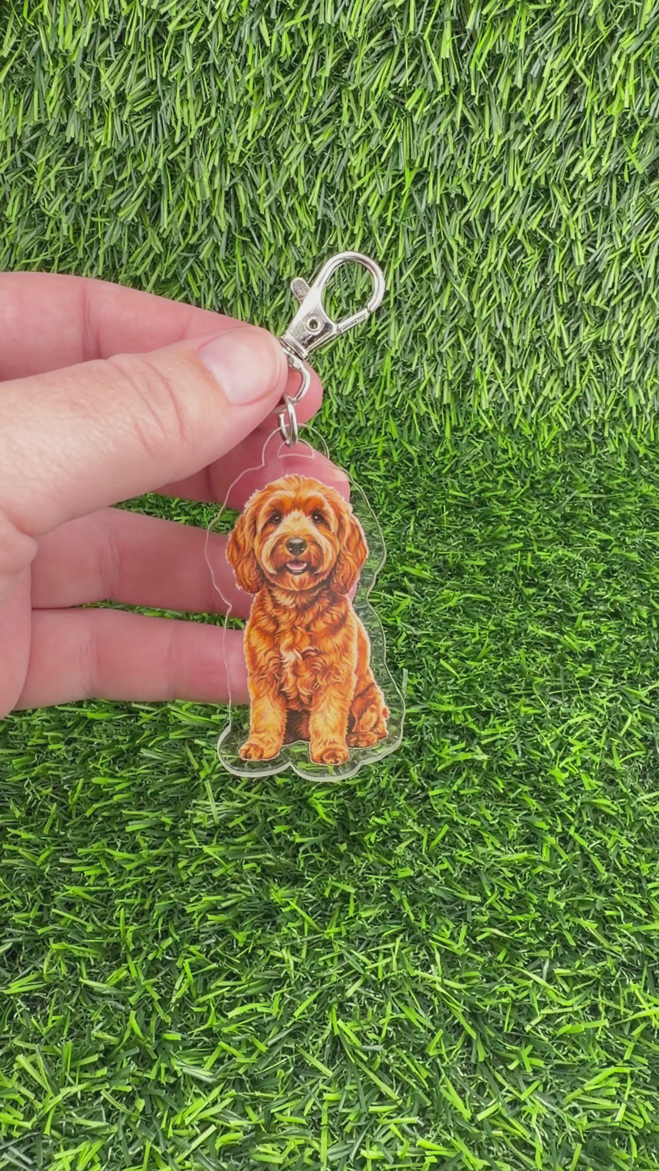 Cavapoo Red Keychain