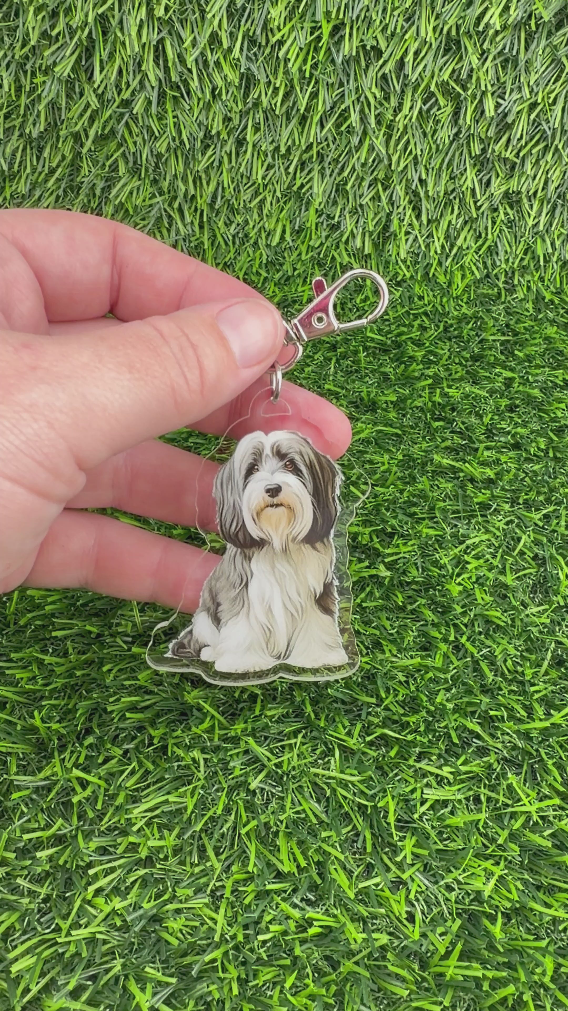 Havanese Cream and Grey Keychain
