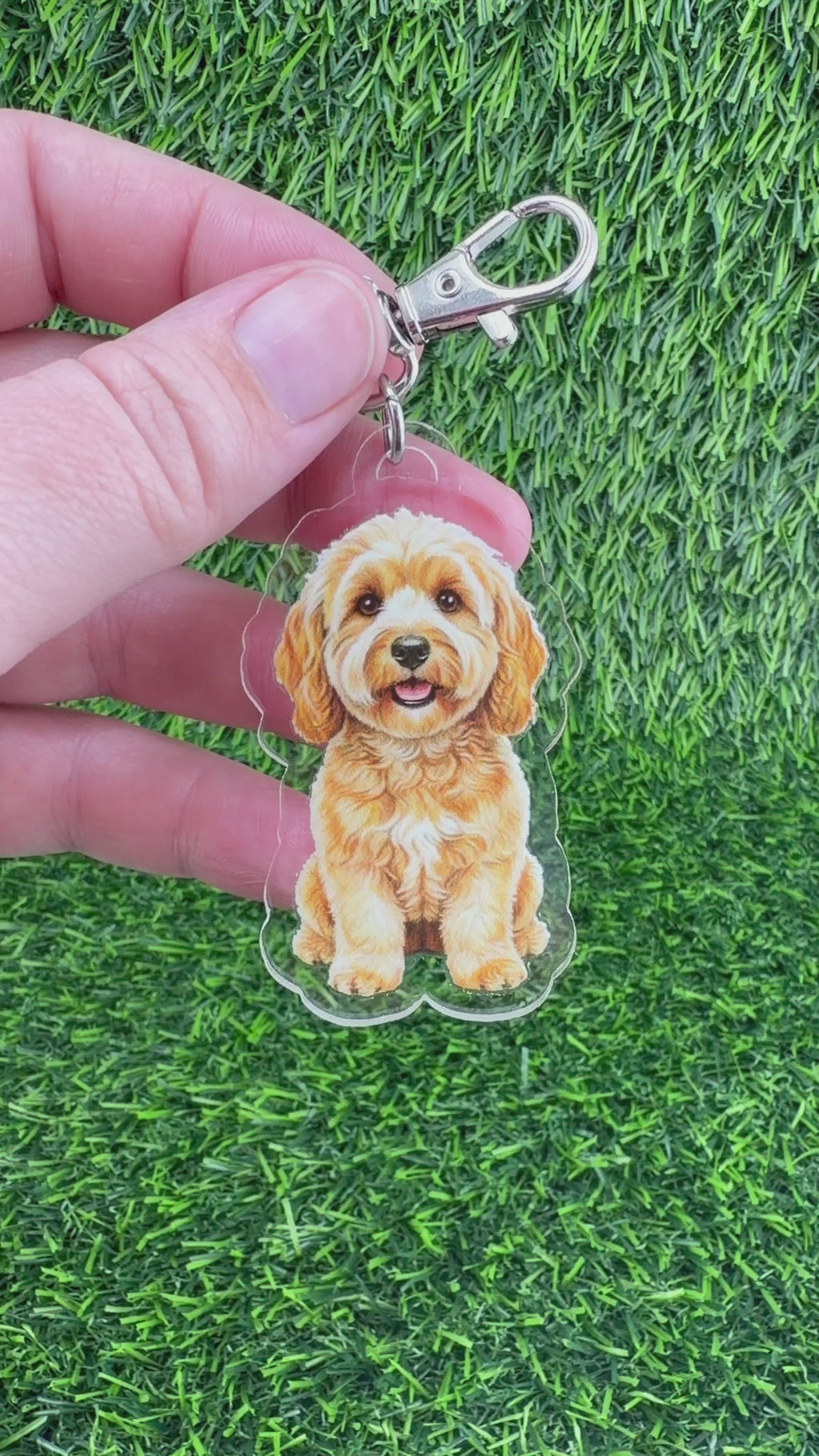 Cavapoo Apricot Keychain